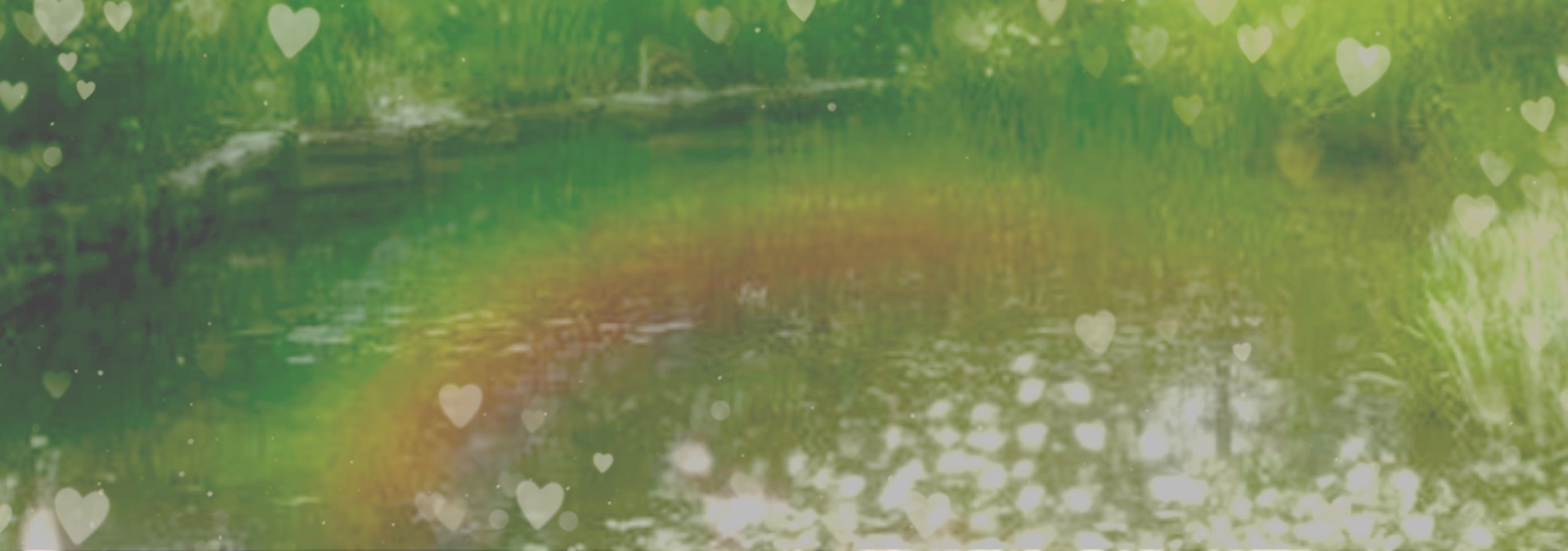 Envi OnlyFans header