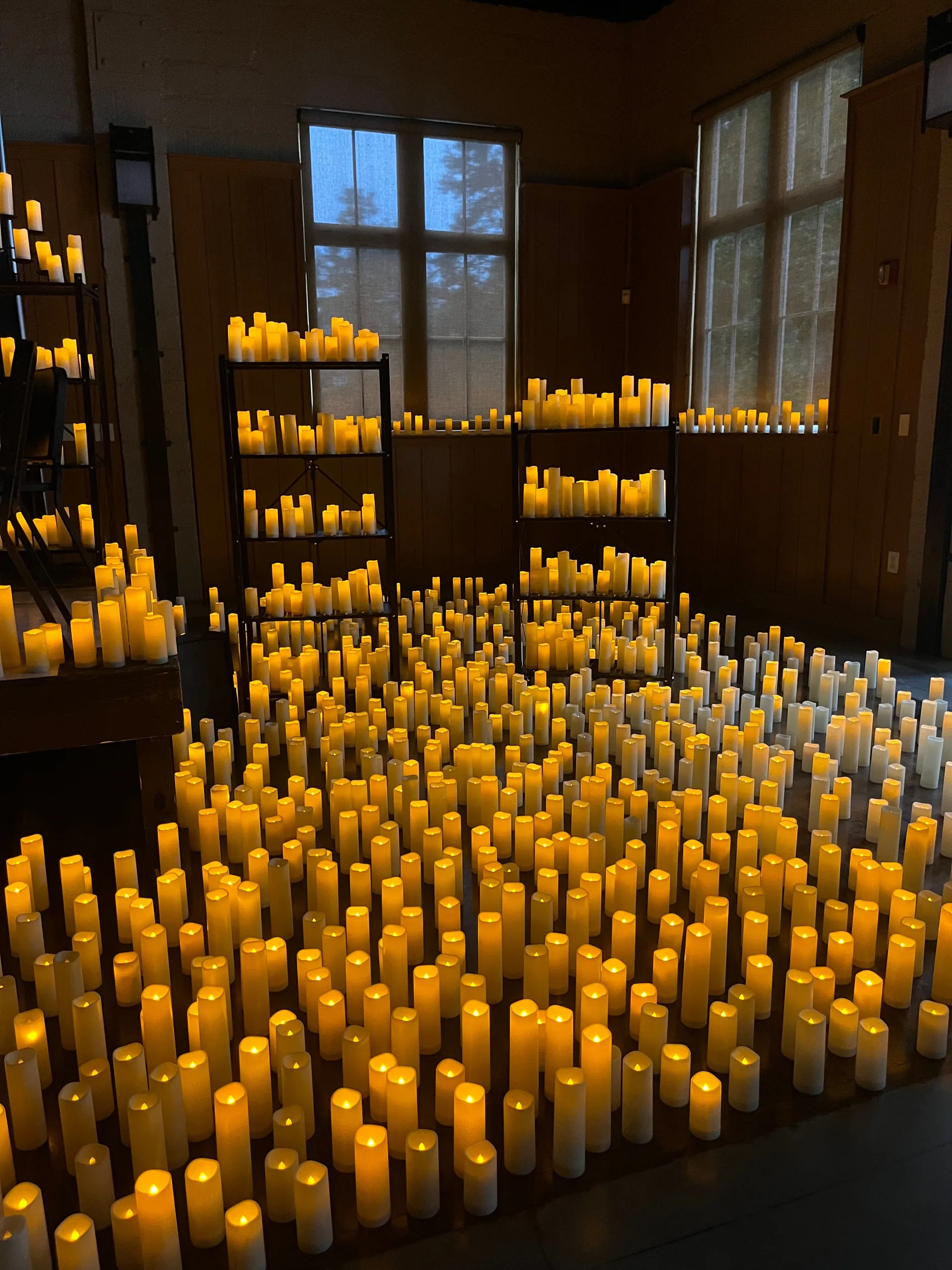 molls OnlyFans header