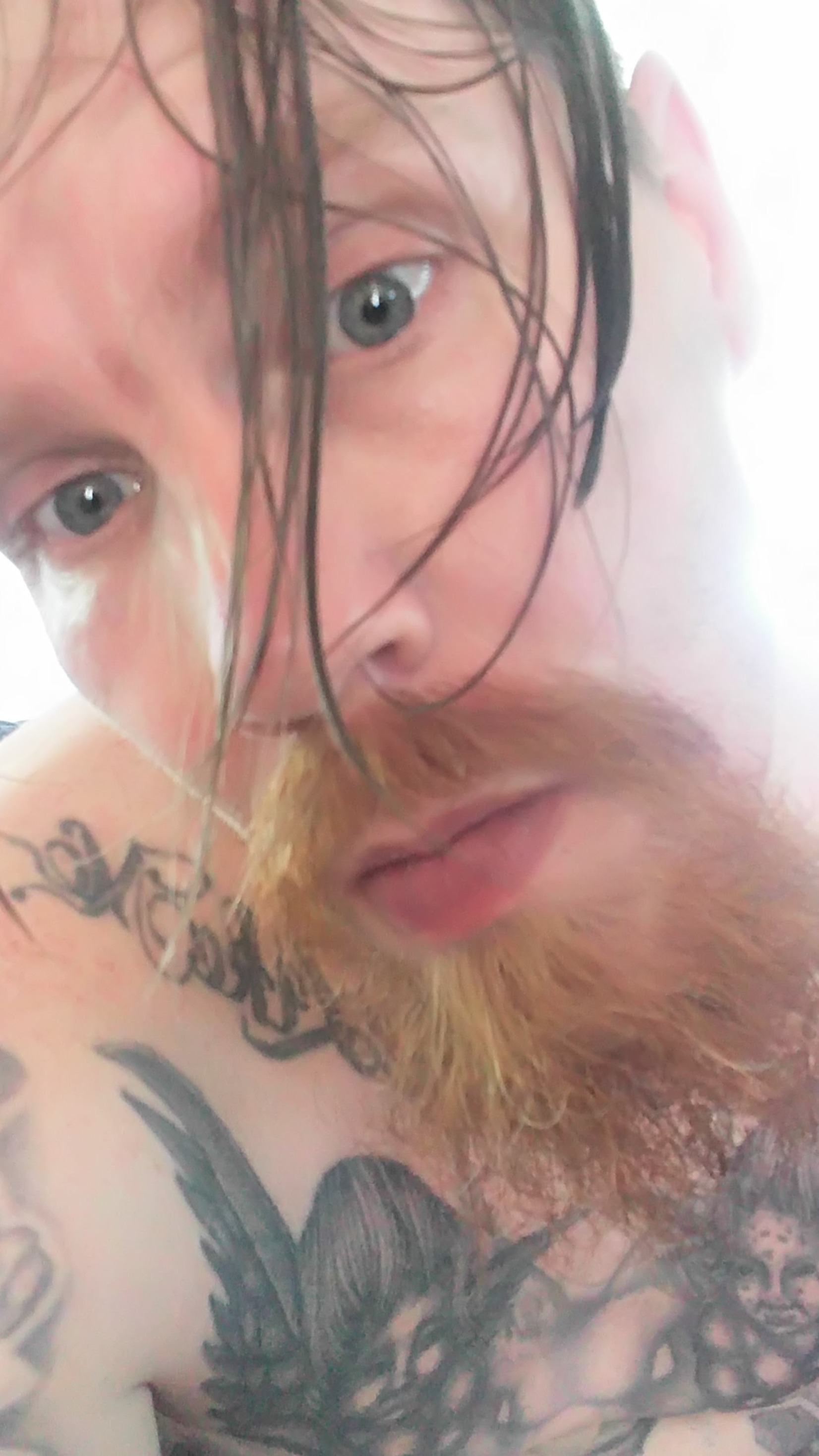 Your tattoo guy OnlyFans header