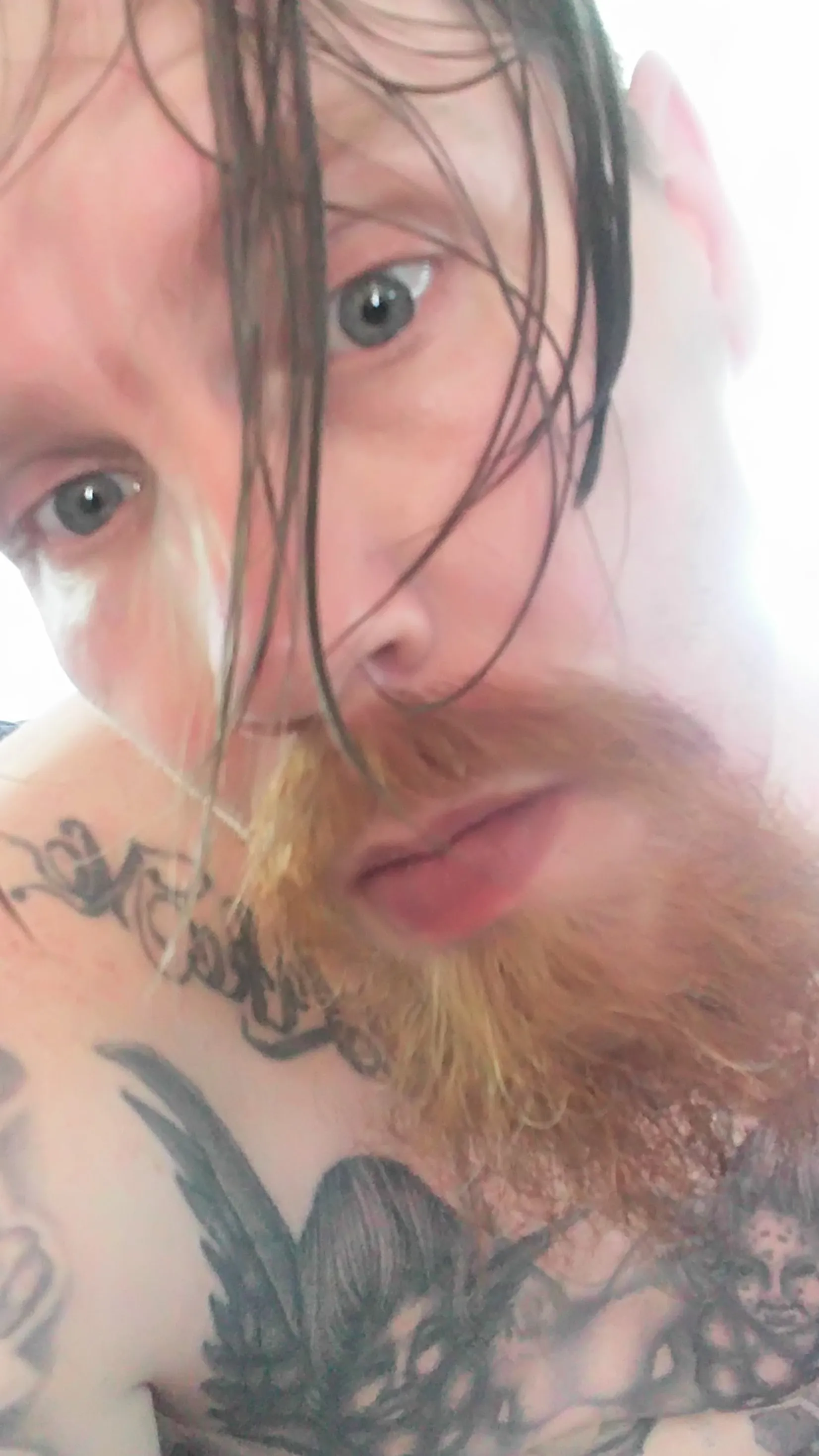 Your tattoo guy OnlyFans header