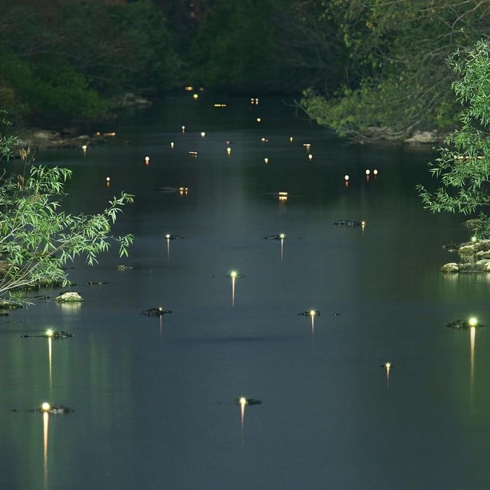 Jayy OnlyFans header