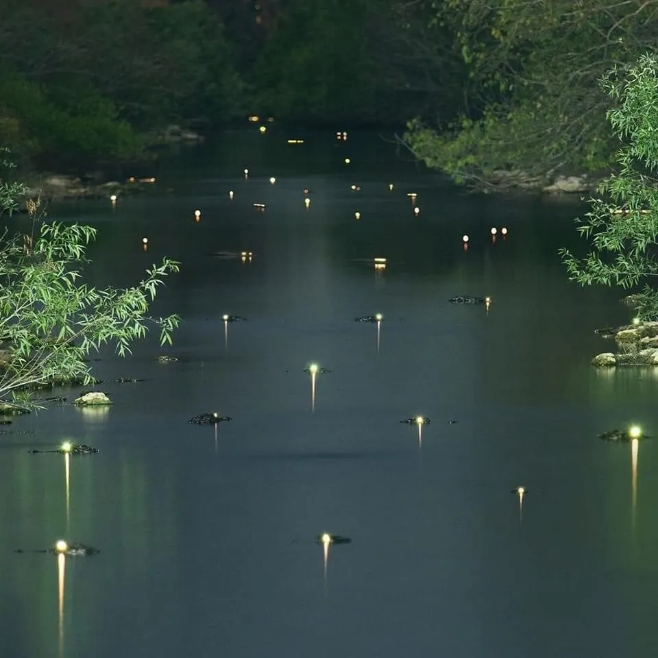 Jayy OnlyFans header