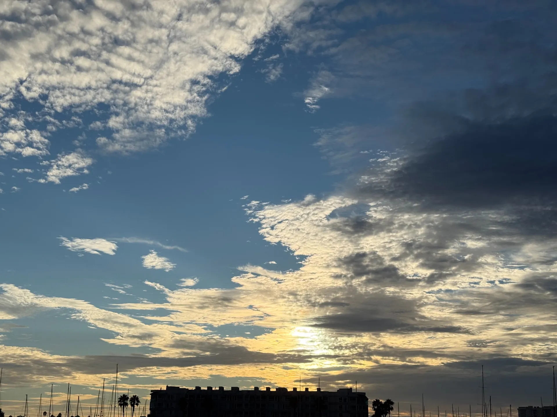 tree climber OnlyFans header