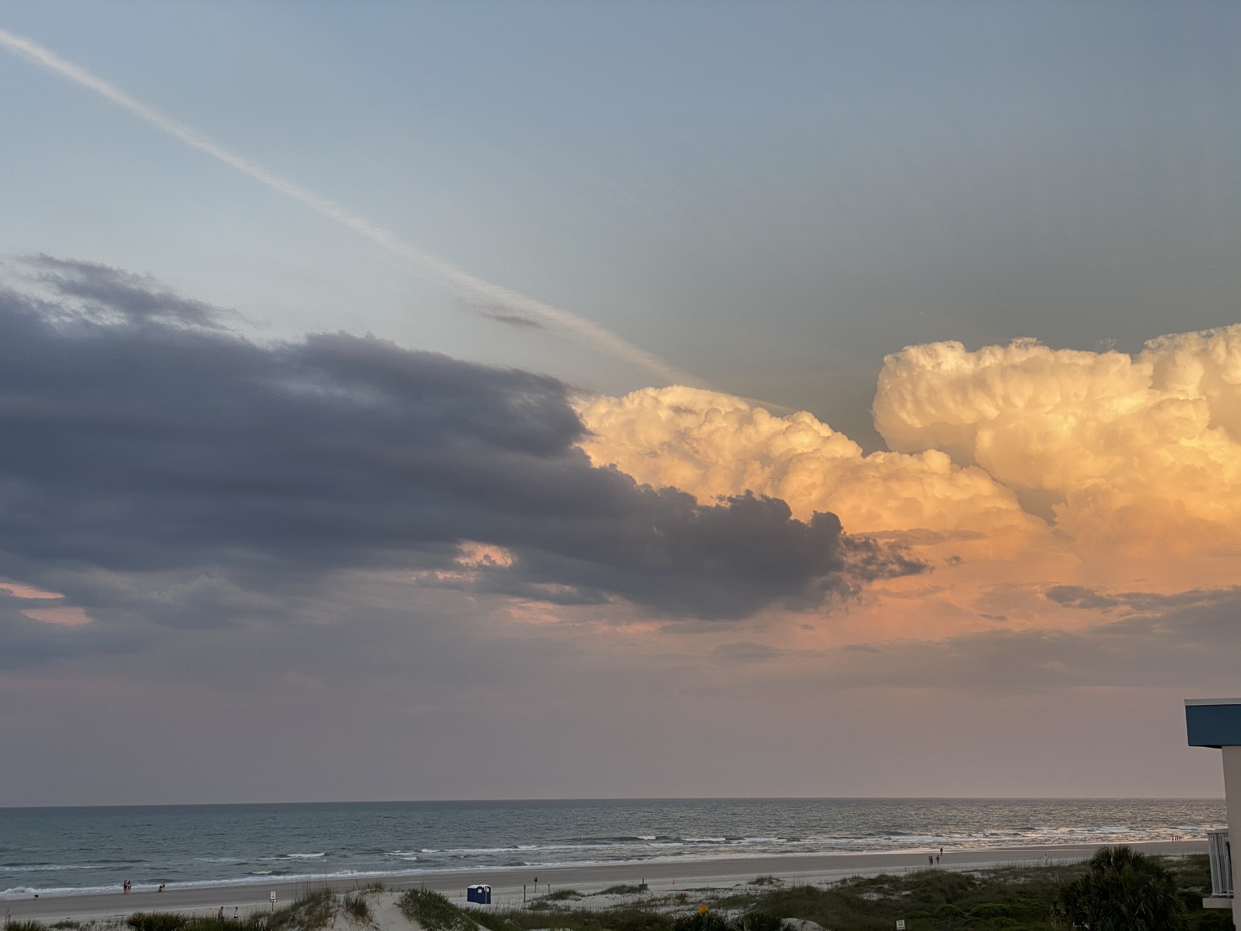 🧿✨ OnlyFans header