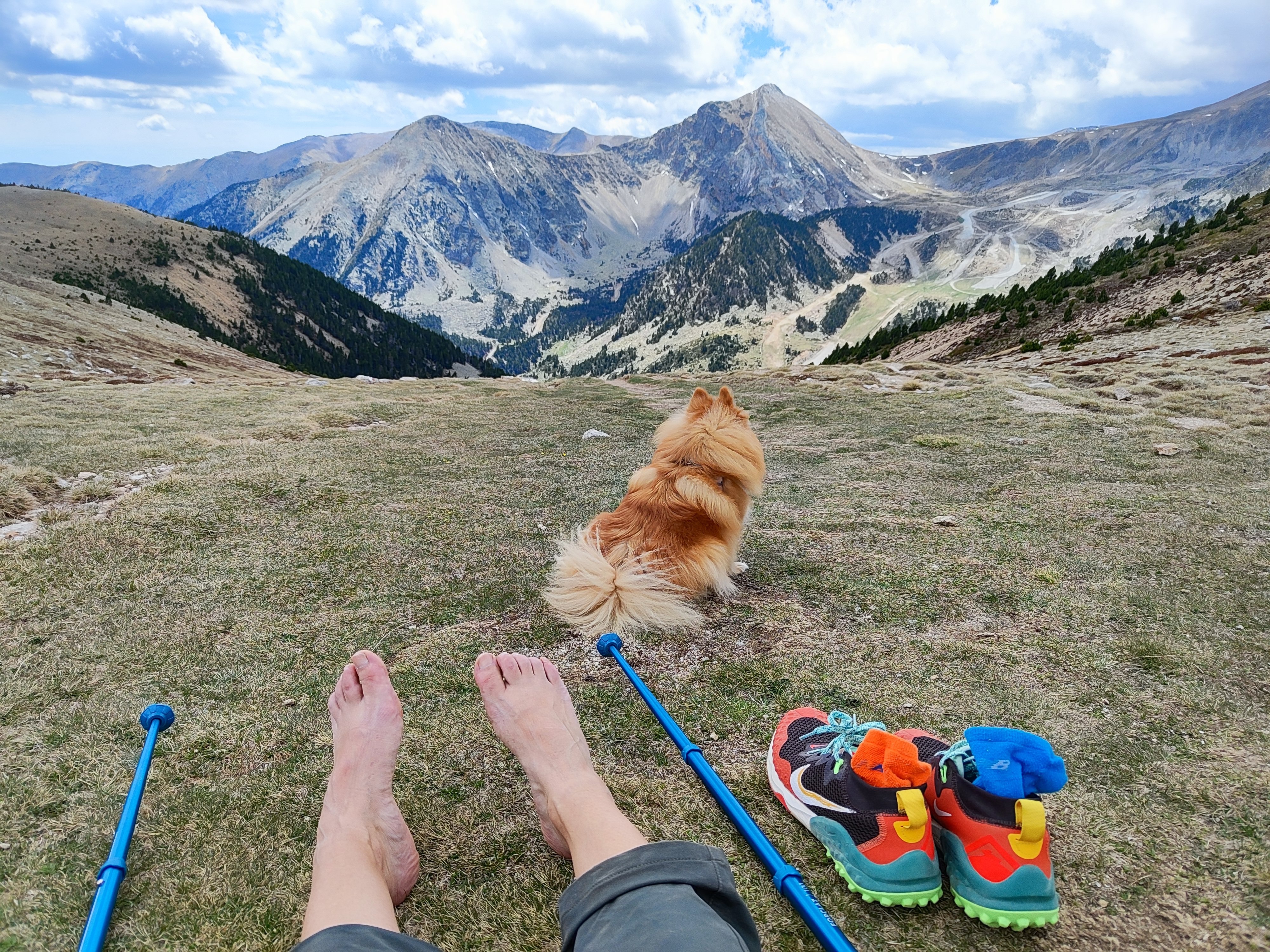 Yoyo OnlyFans header