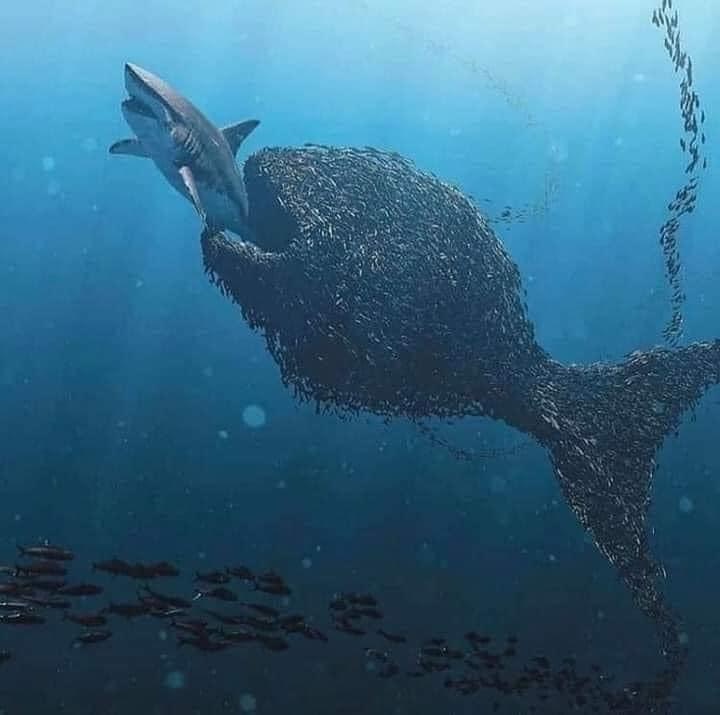 Yoyo2831 OnlyFans header