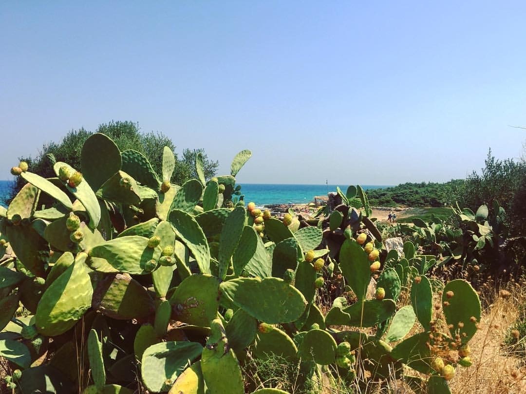 Yoyoza OnlyFans header