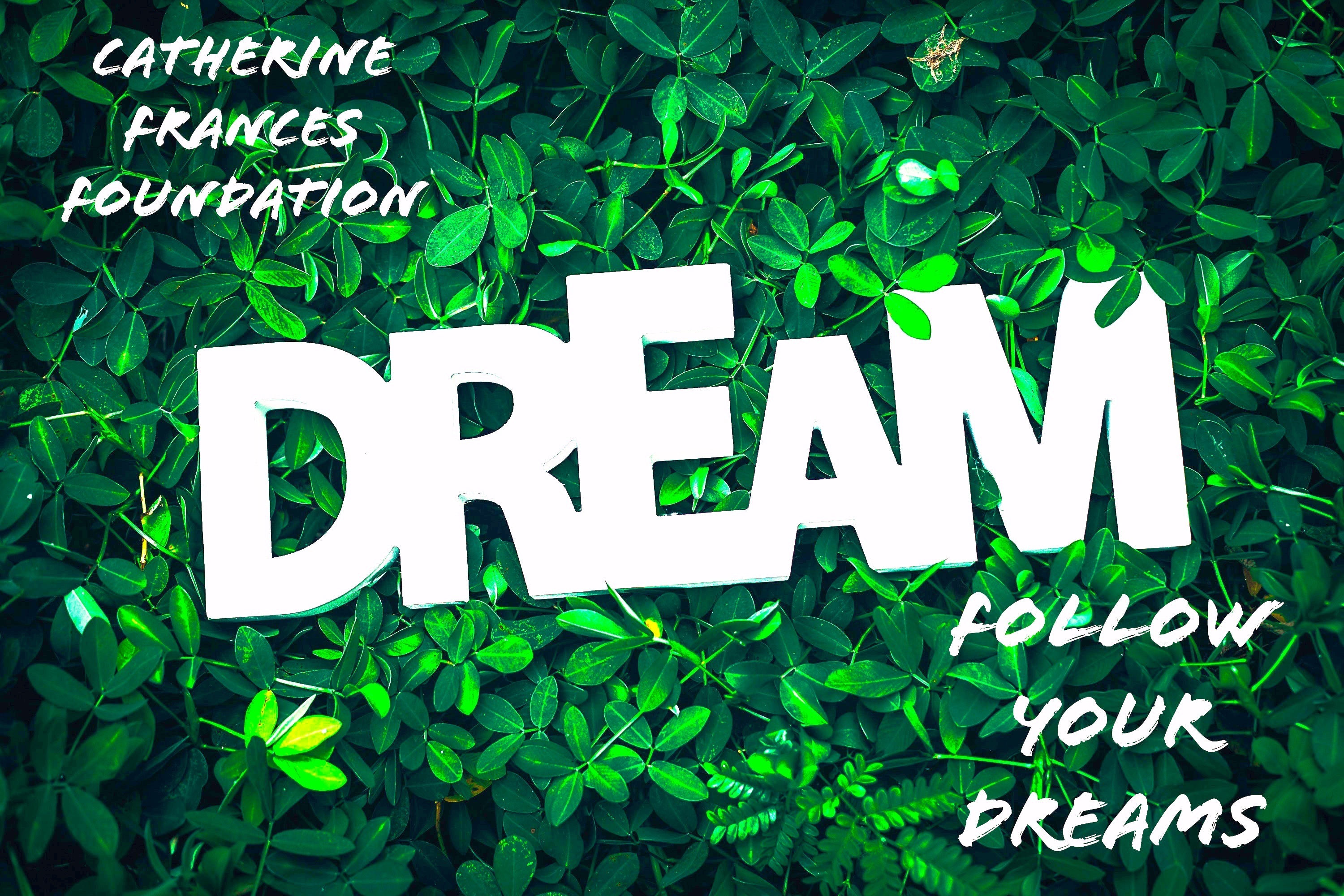 YRLA OnlyFans header