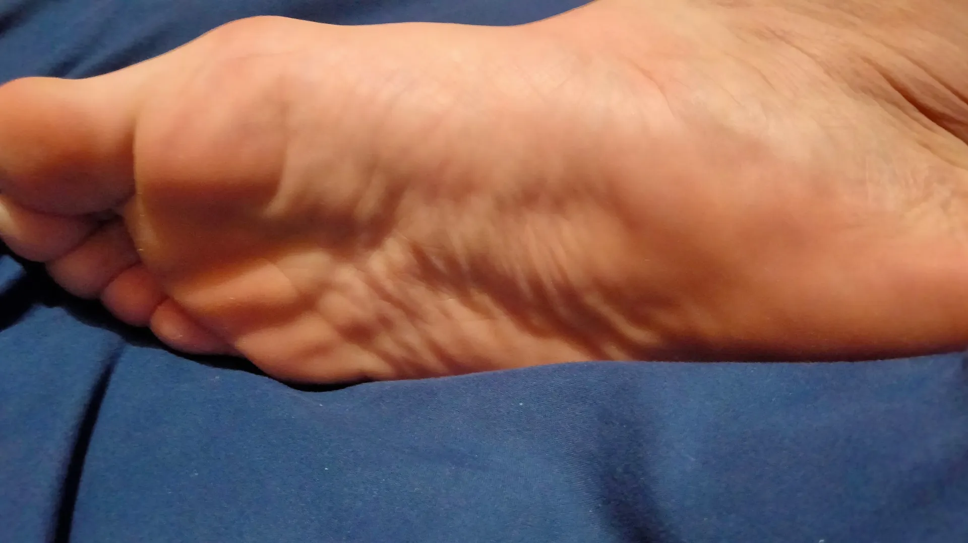 Ysav cat lover 🐱❤️ OnlyFans header