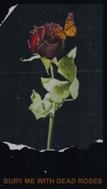 YTLinaBae♥️ OnlyFans header