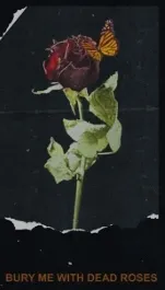 YTLinaBae♥️ OnlyFans header