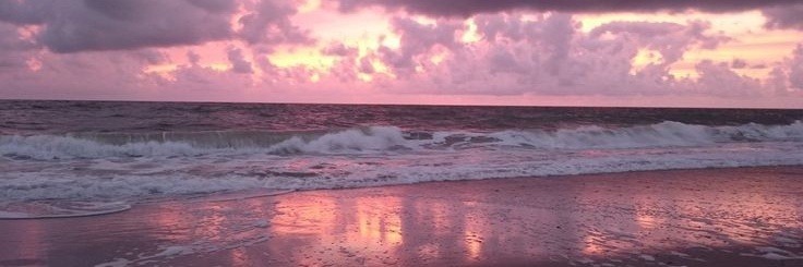 Yuri 🔥💕 OnlyFans header