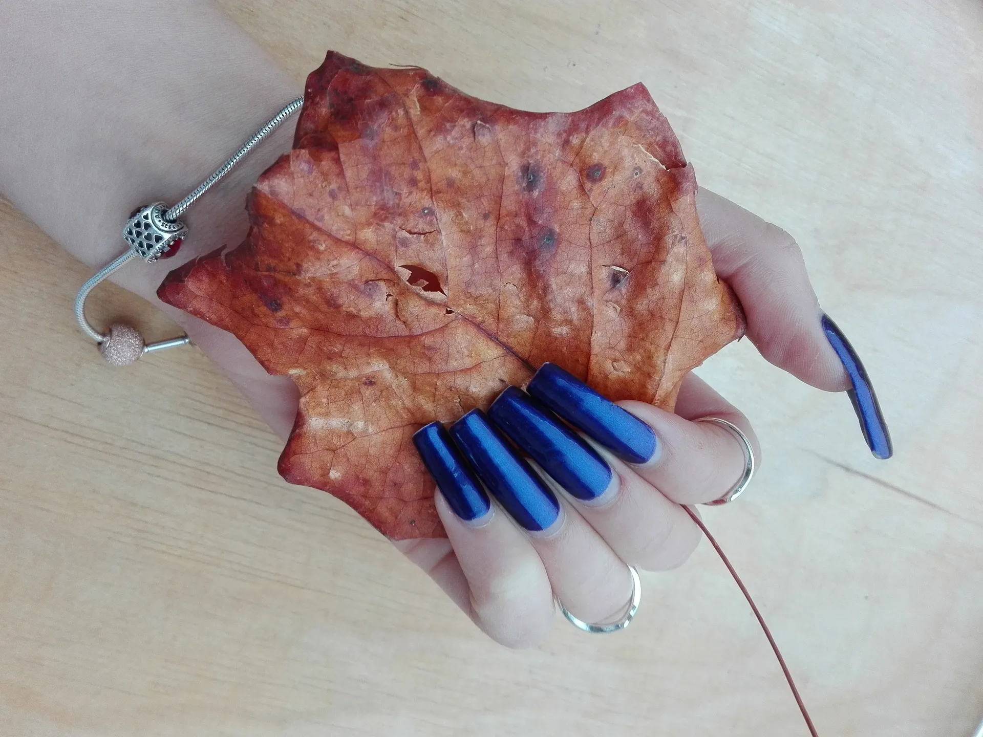 Yu.nailedit OnlyFans header