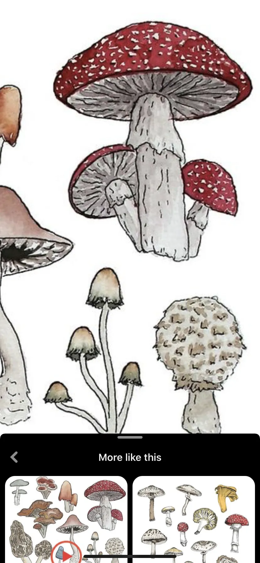 puppi OnlyFans header