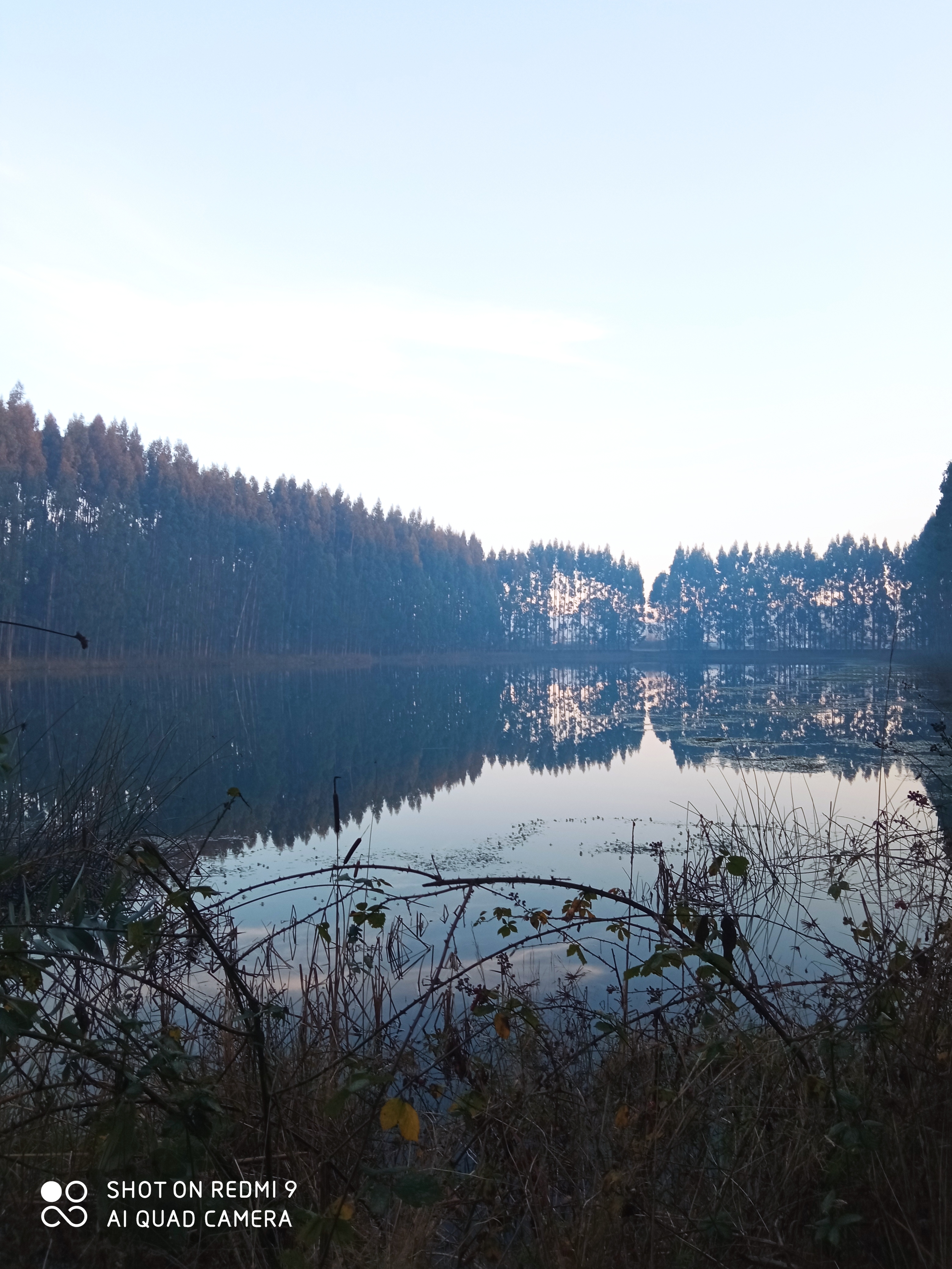 Little_kittie <3 OnlyFans header