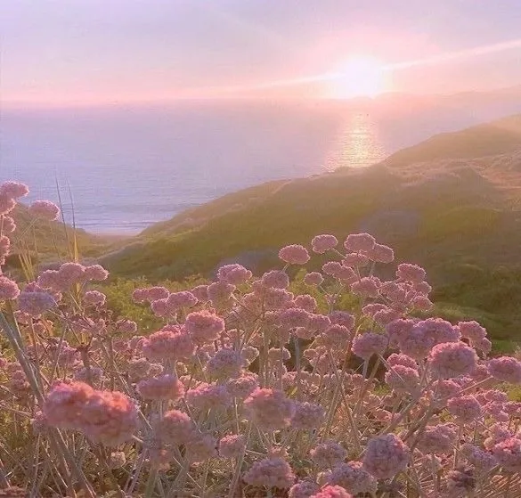 Yukii OnlyFans header