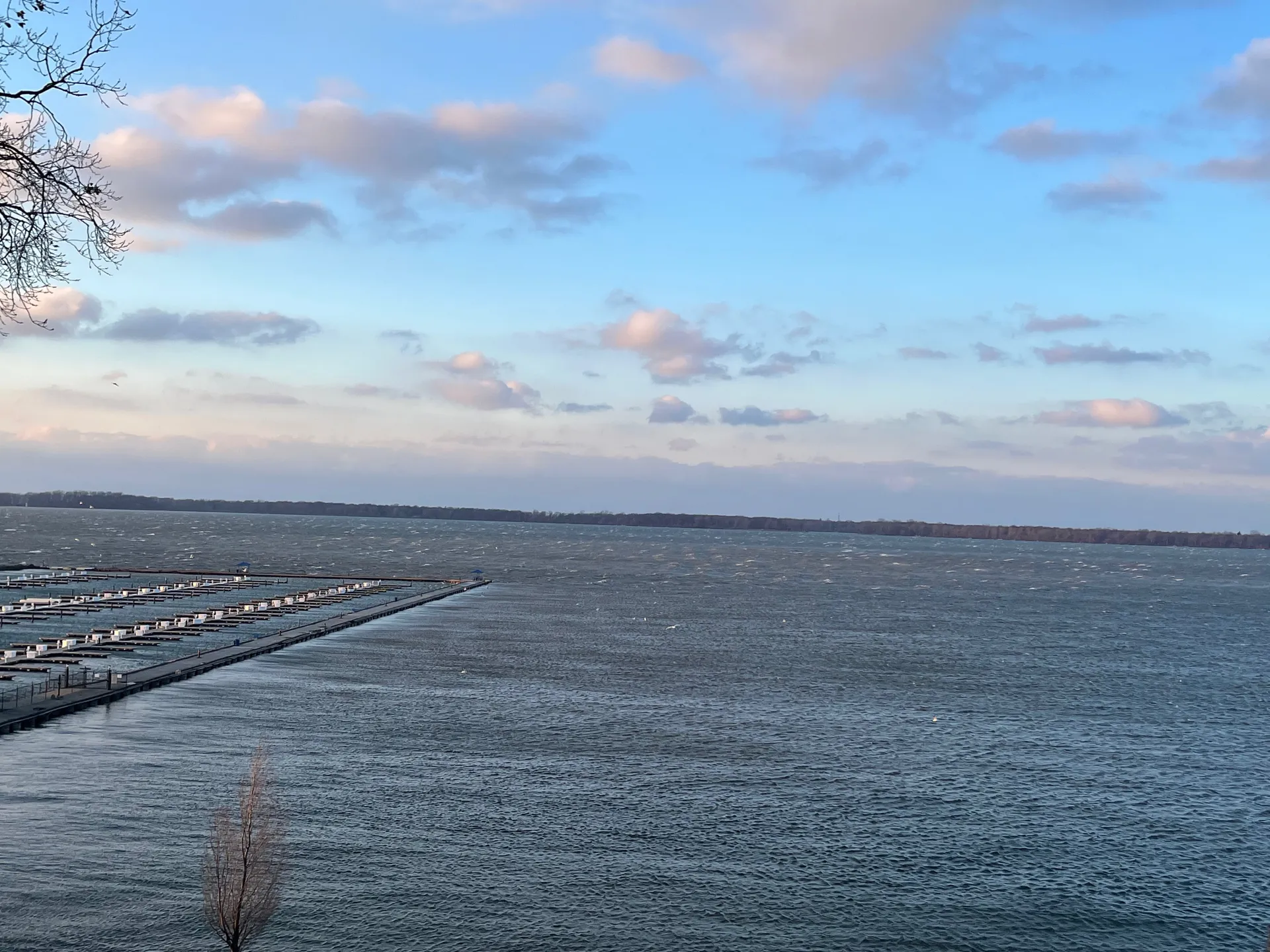 Yuko OnlyFans header