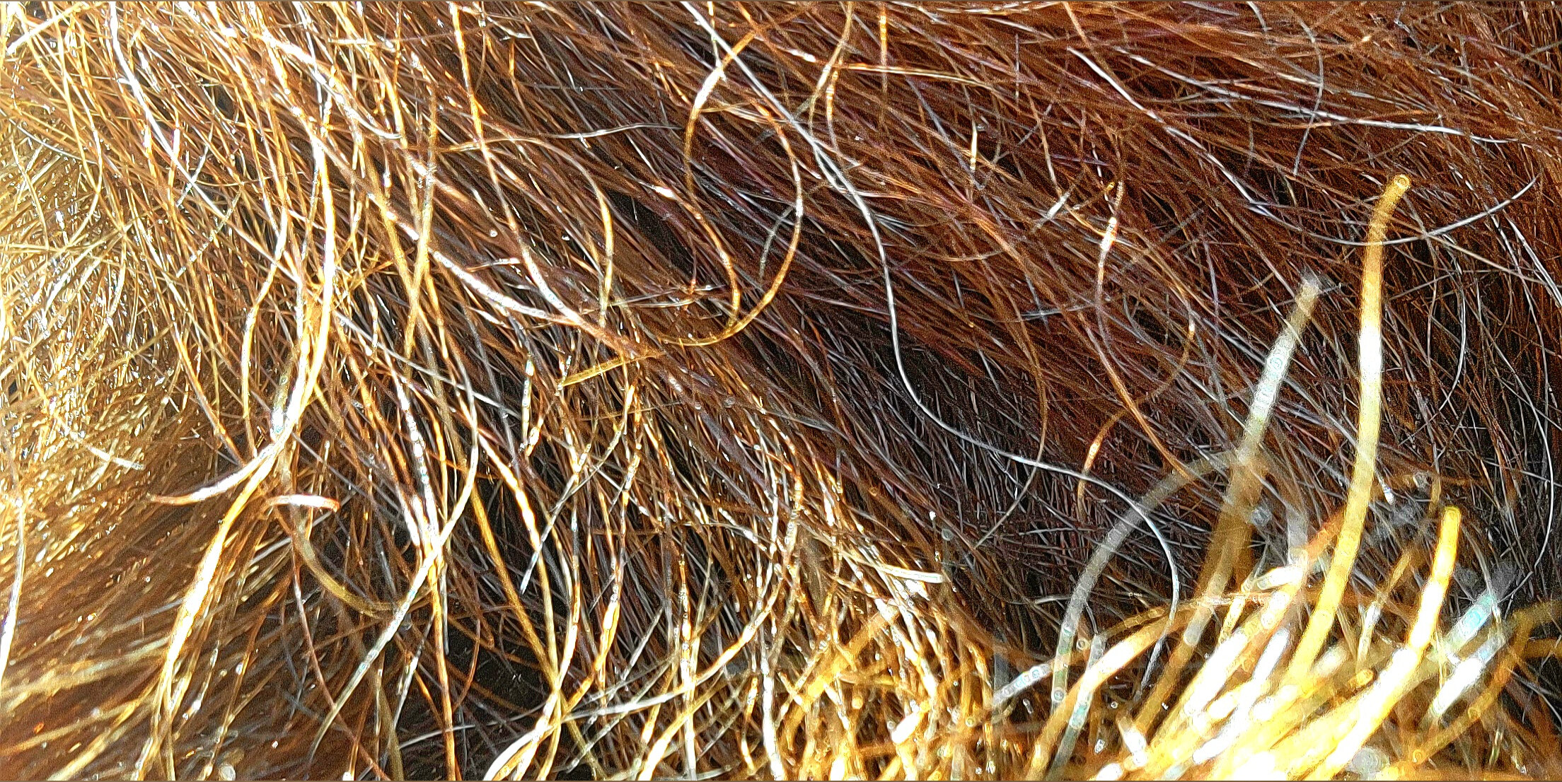 Yukon Wallace OnlyFans header