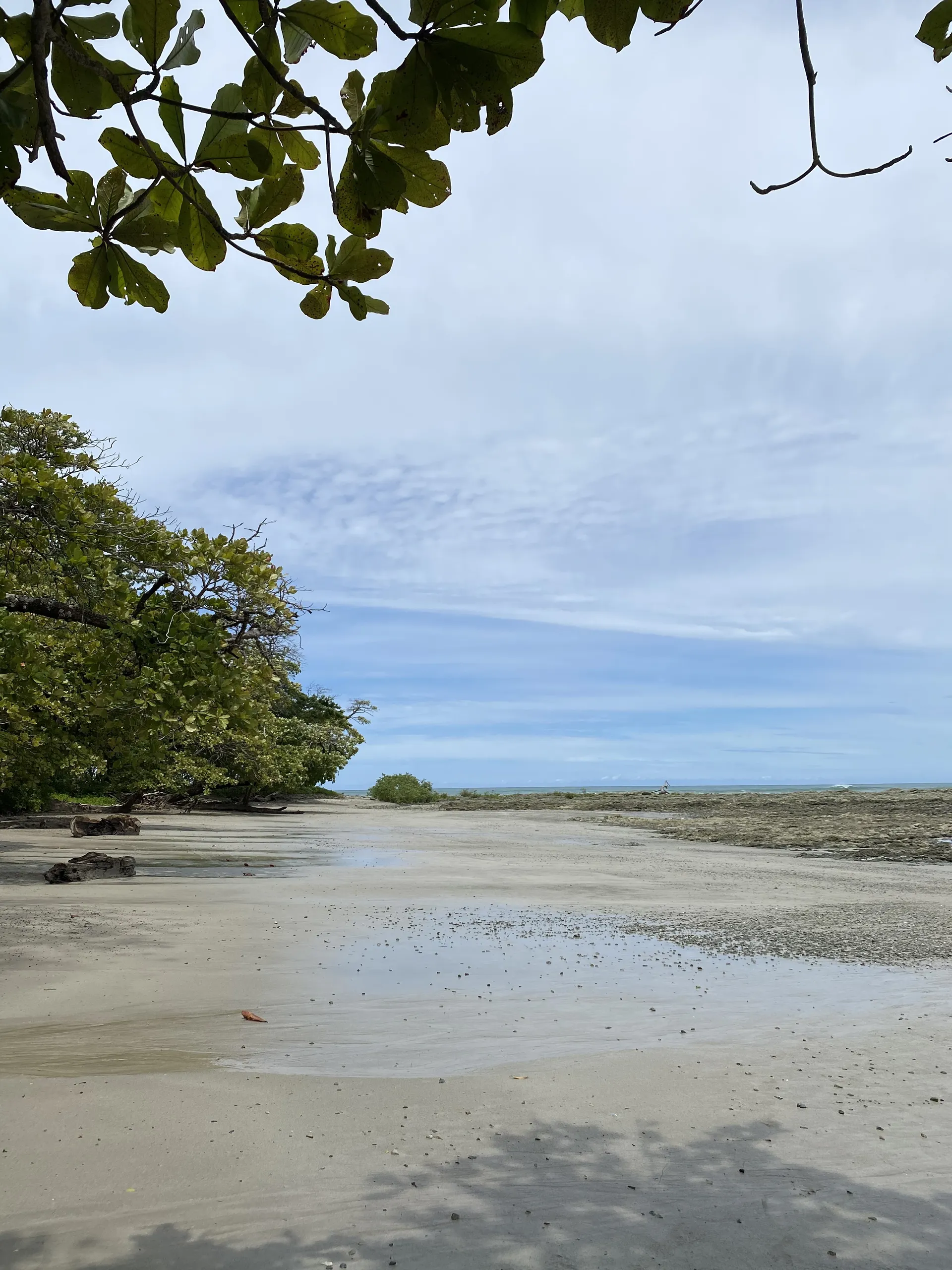 Anyu Arseg OnlyFans header