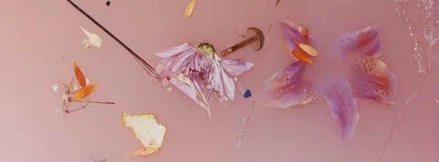 Princess Eva's Castle OnlyFans header