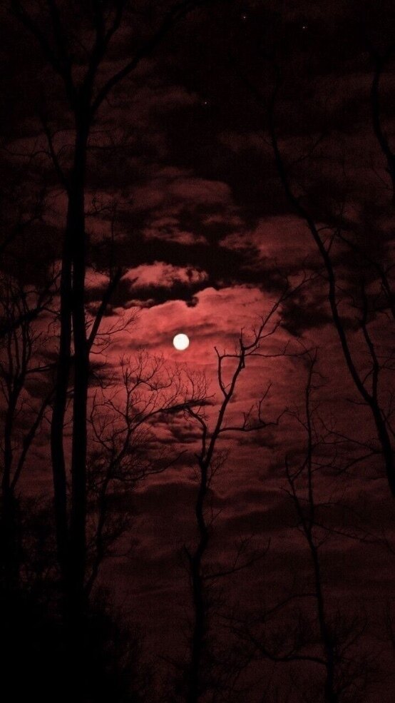 Luna OnlyFans header