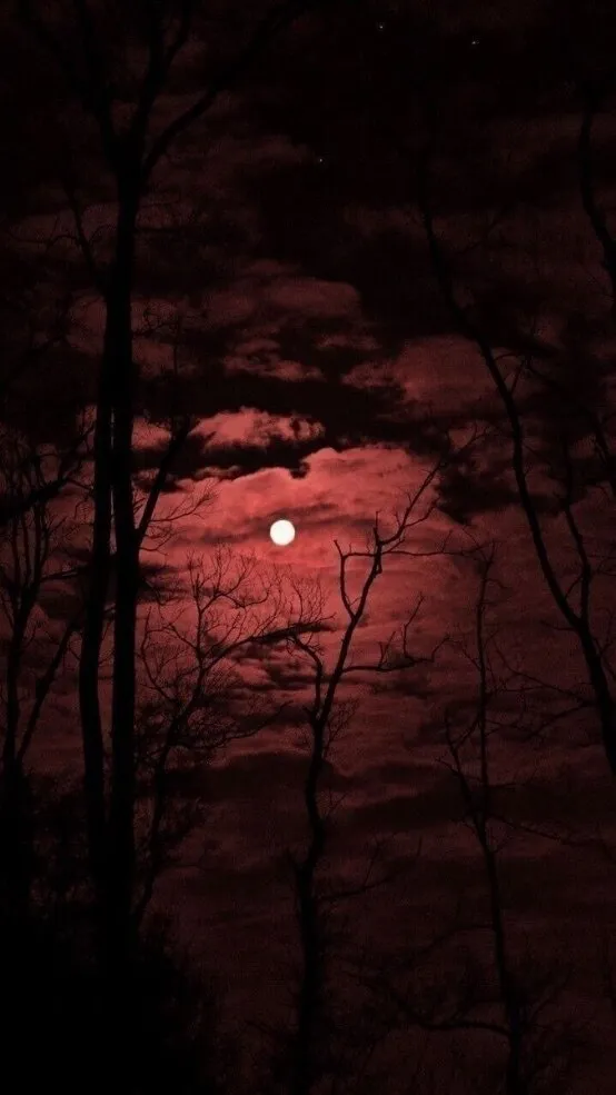 Luna OnlyFans header