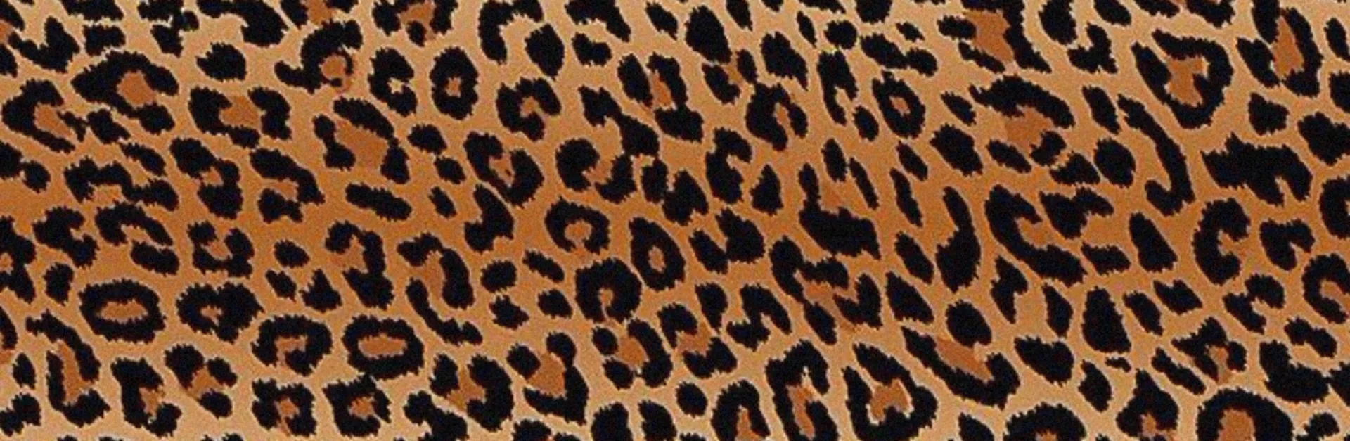 👑🧚🏼‍♀️ OnlyFans header