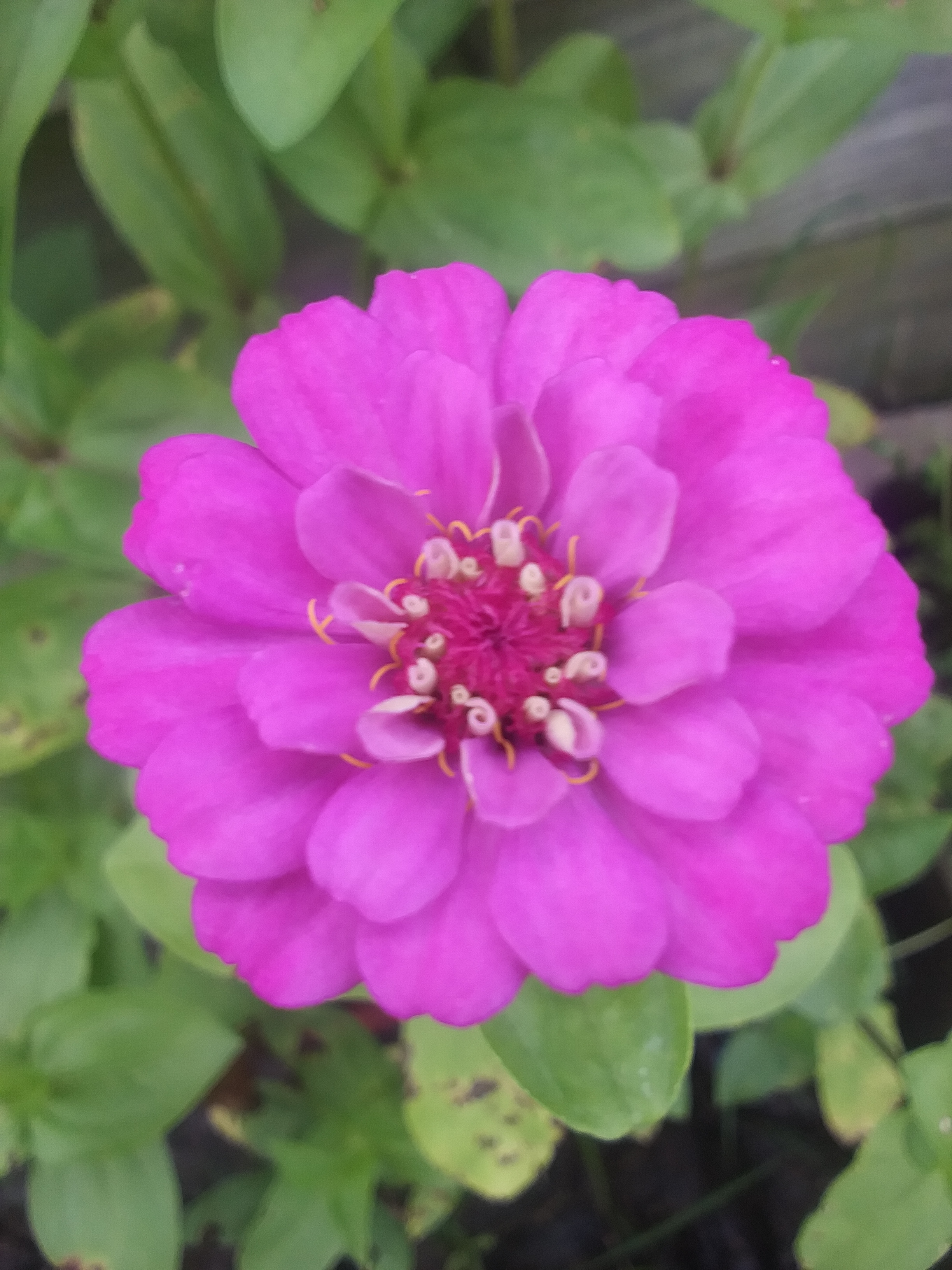 Shayyxx OnlyFans header