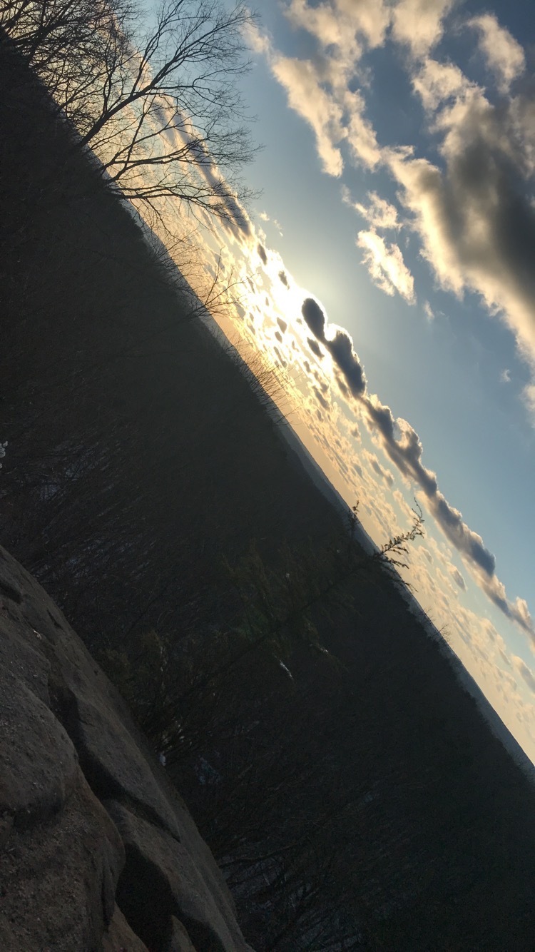 Pretty melanated kitty OnlyFans header