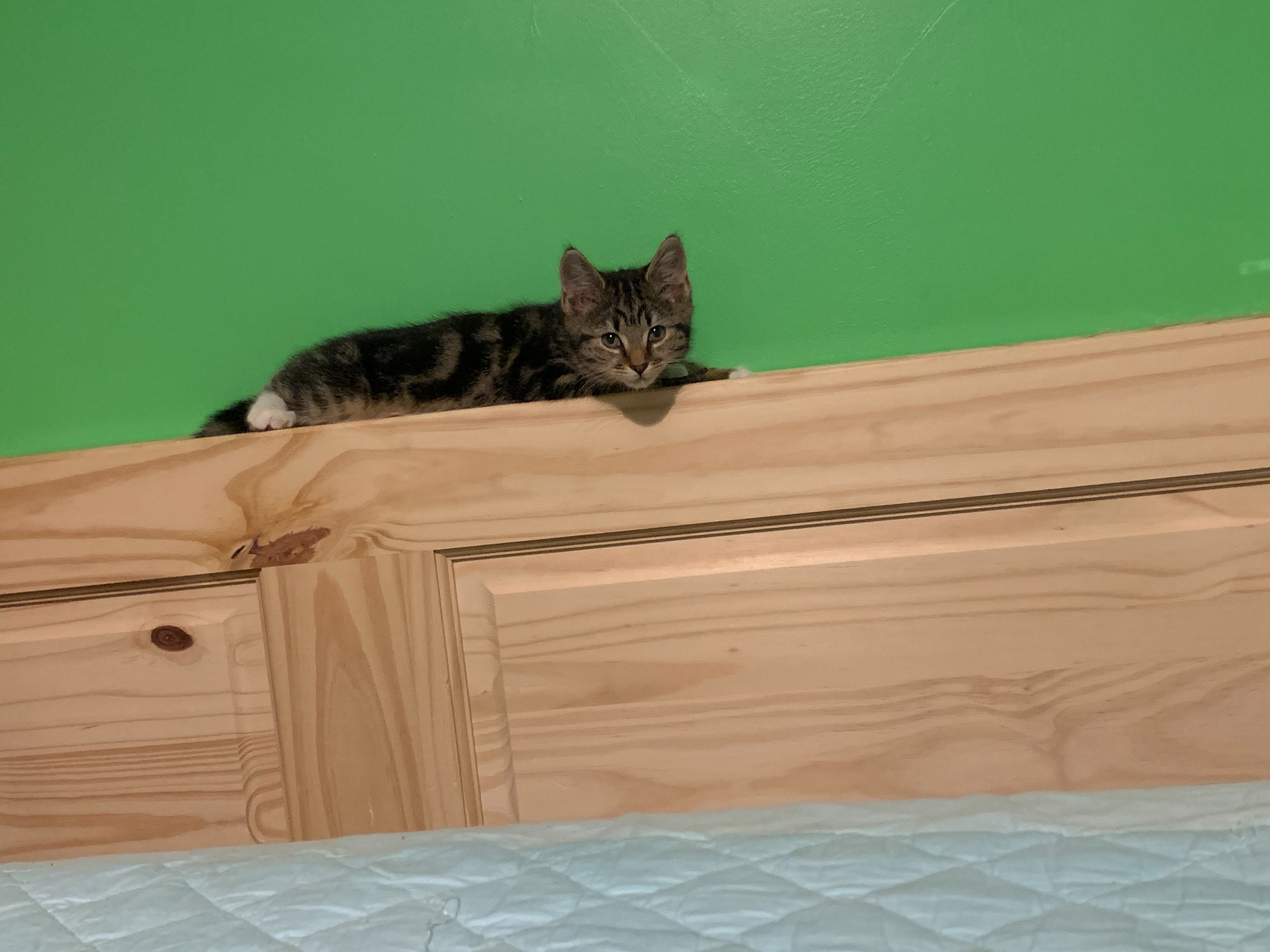 Edyta OnlyFans header