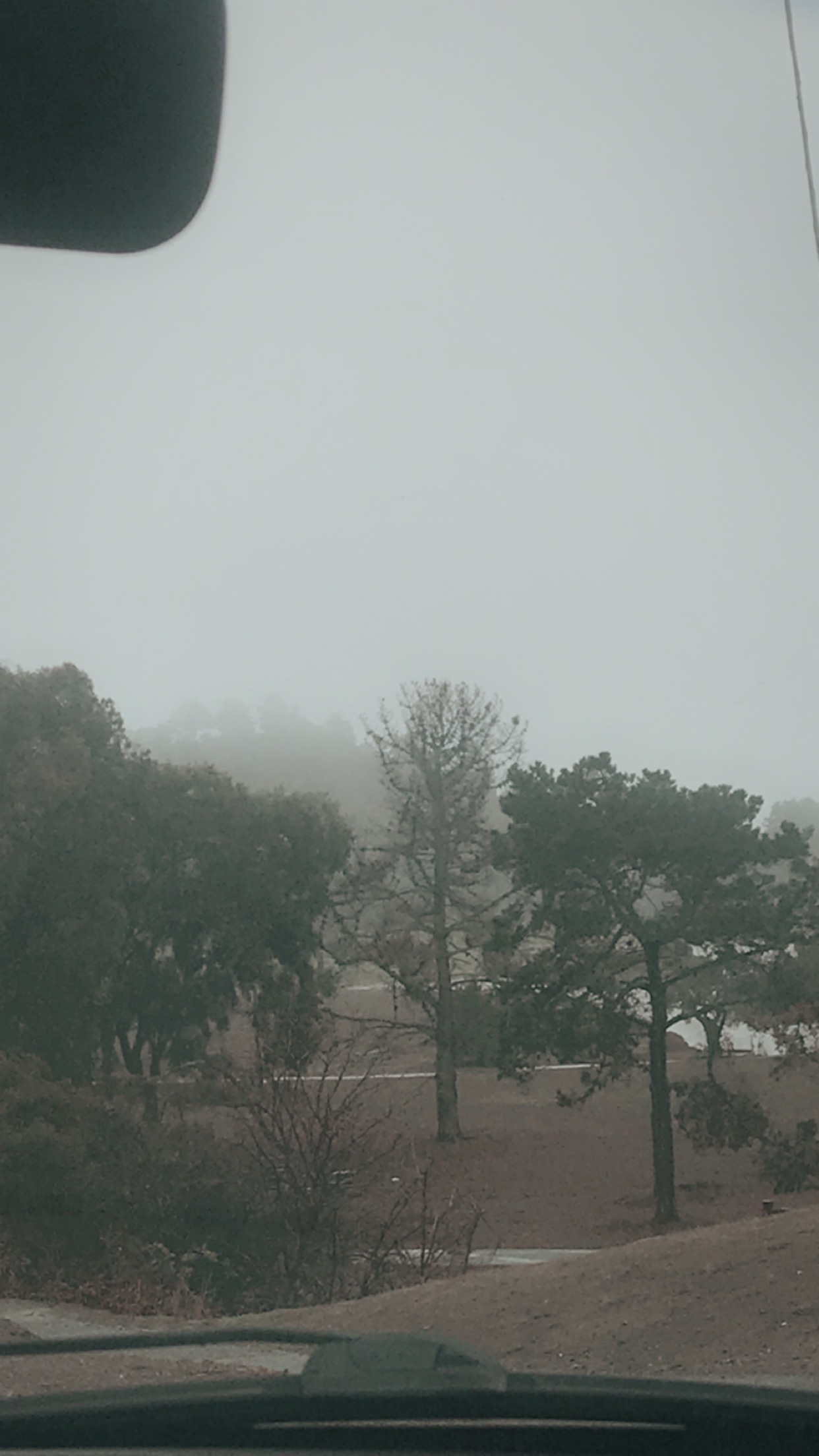 Litty OnlyFans header