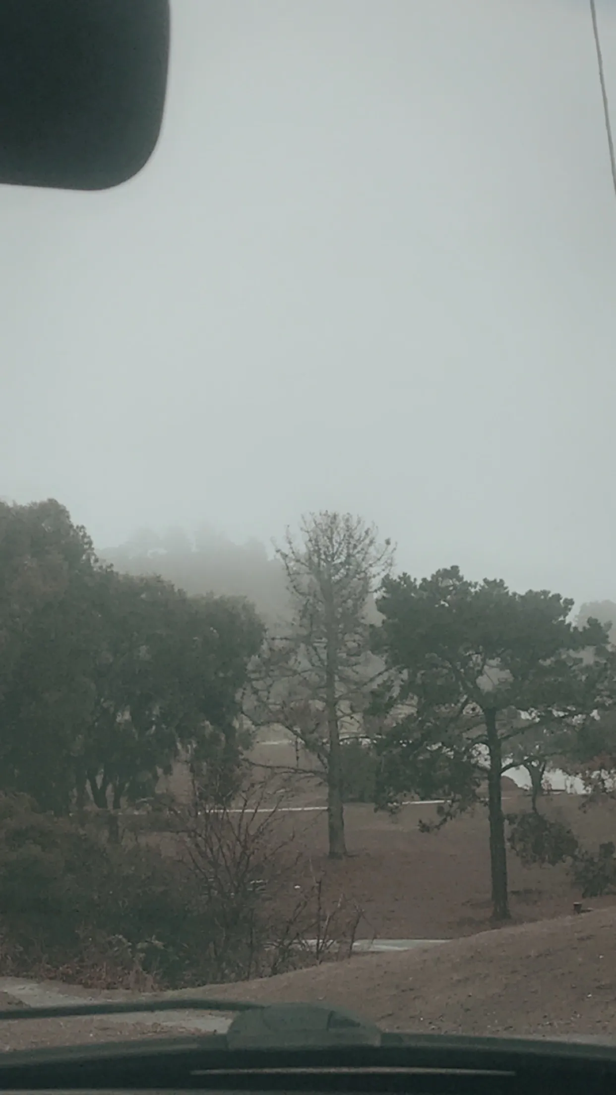 Litty OnlyFans header