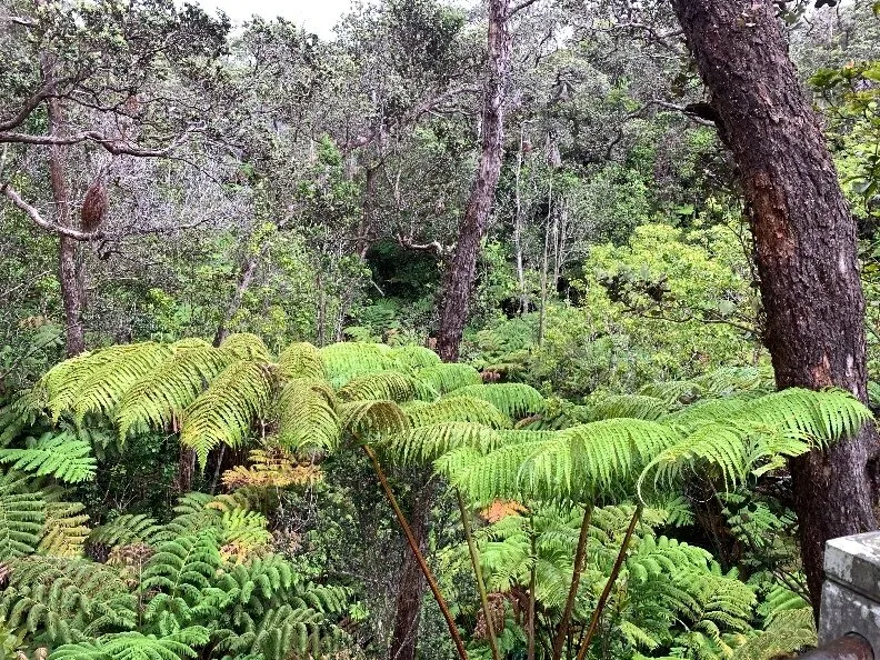 Yummyy OnlyFans header