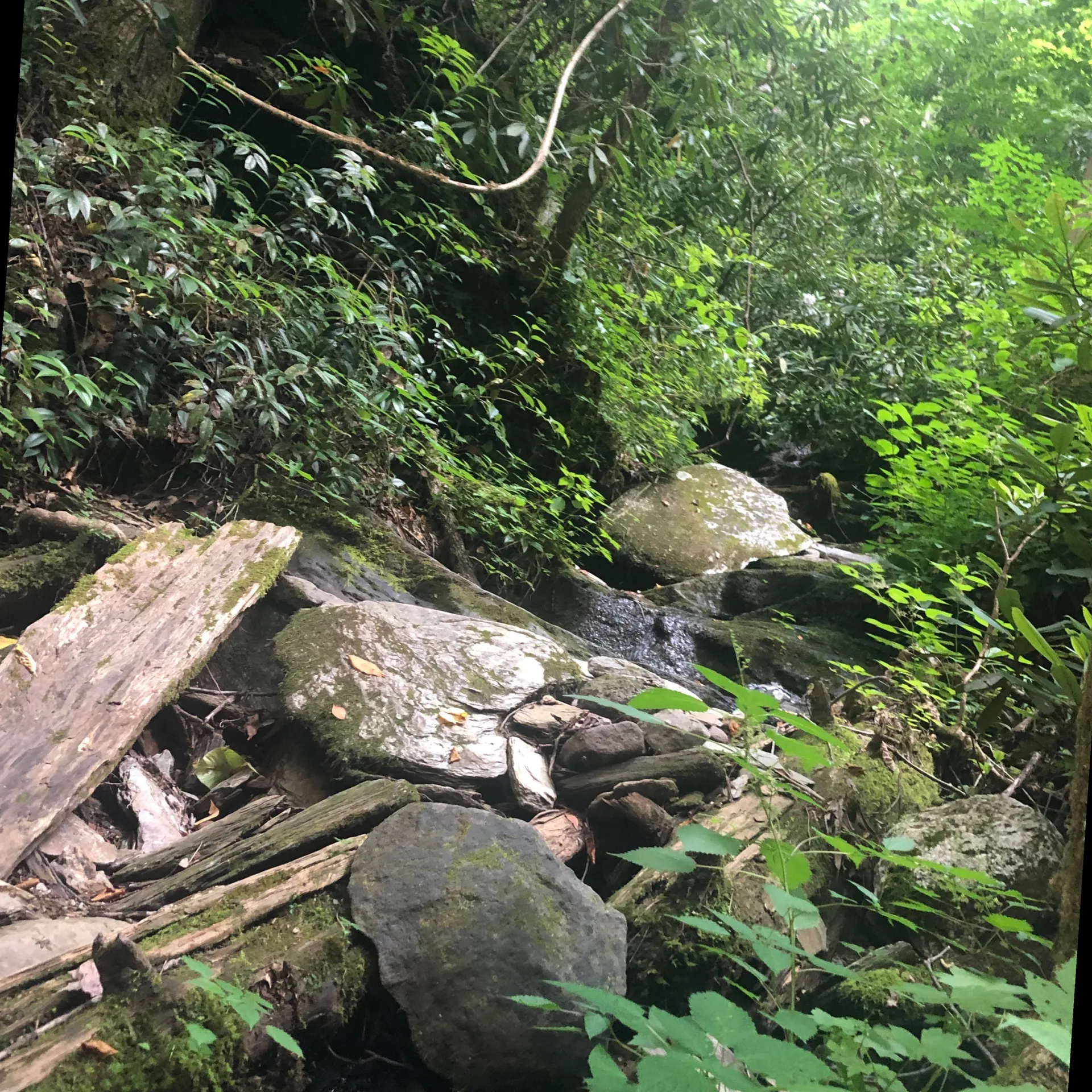 🖤Yung $uicide 🖤💥💀🔫 OnlyFans header