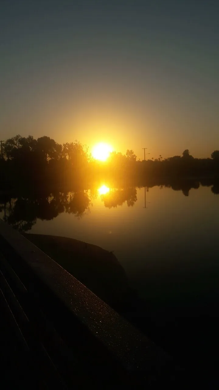 Goddess Anjalii's Black Beta Cuck 🥰 OnlyFans header