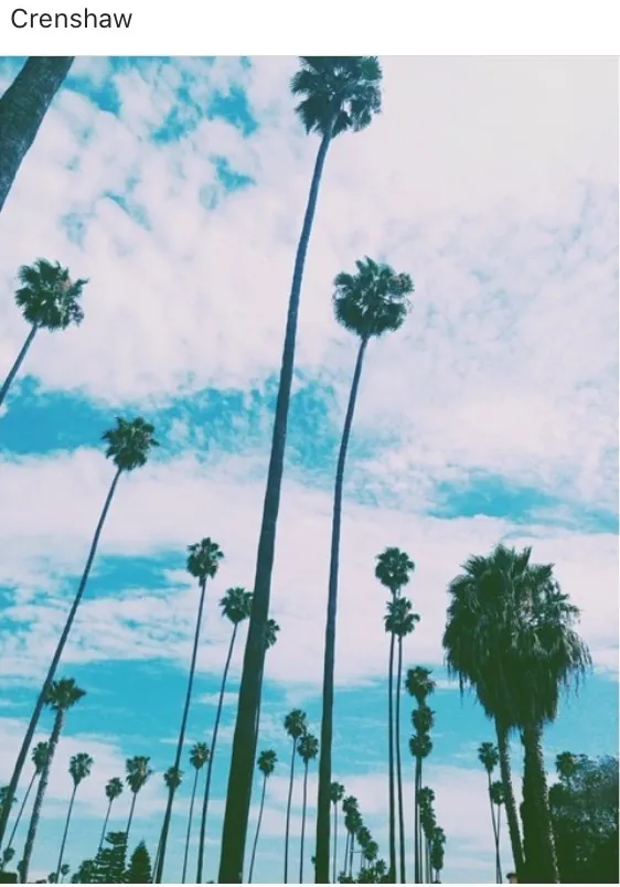 BABYBOYROMEO 🌊💦 OnlyFans header