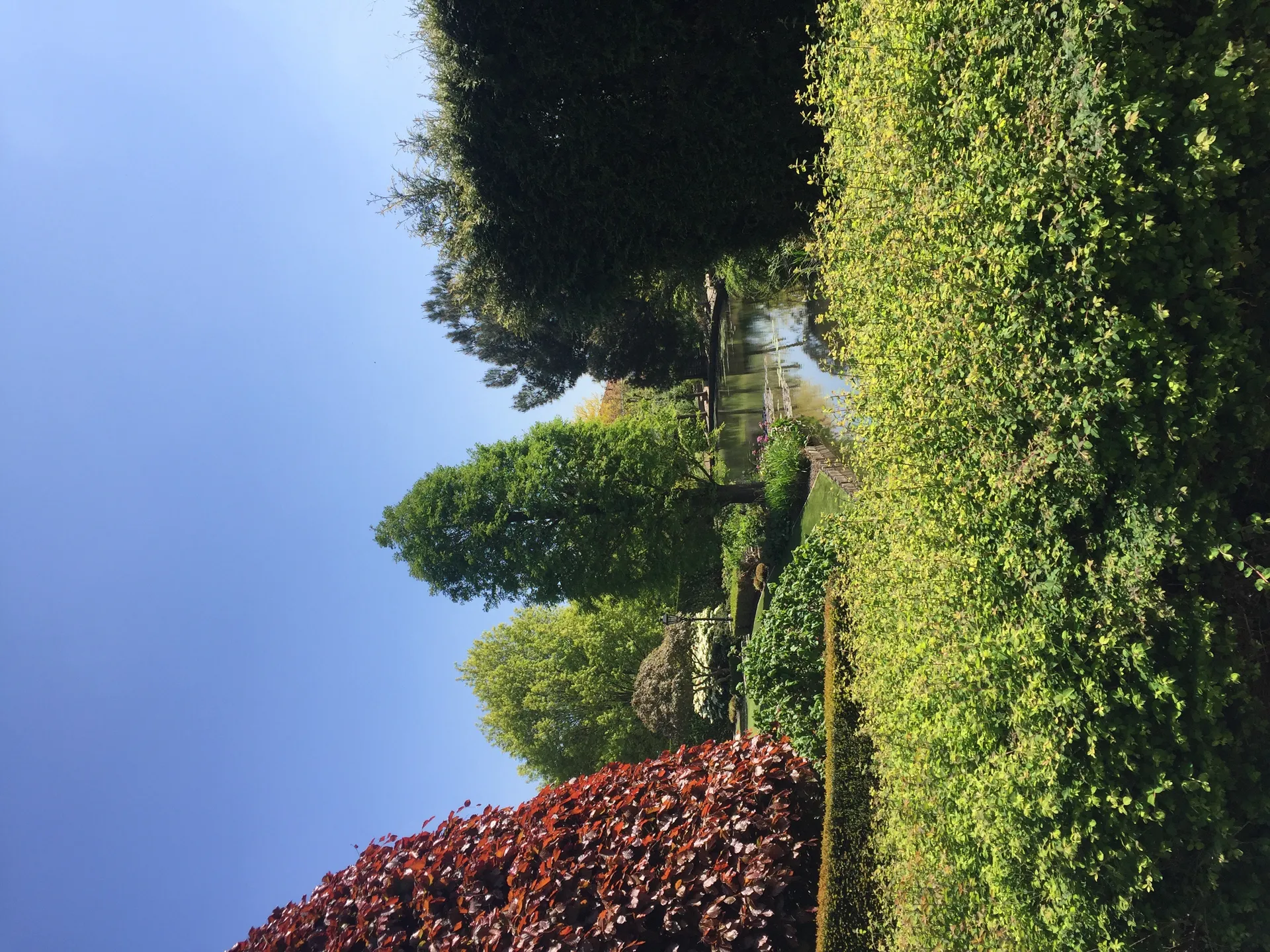 yung dream OnlyFans header