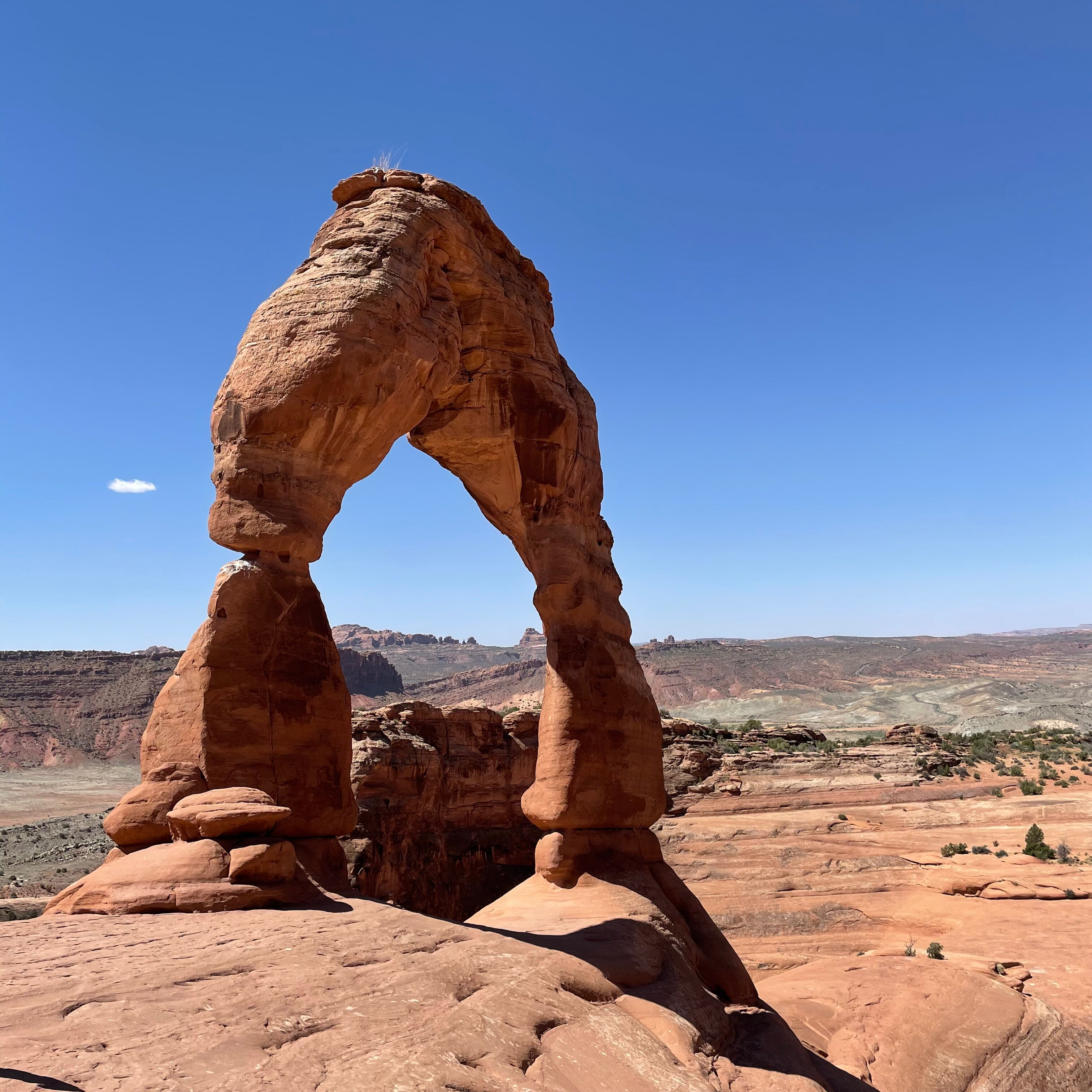 Yung RyRy OnlyFans header