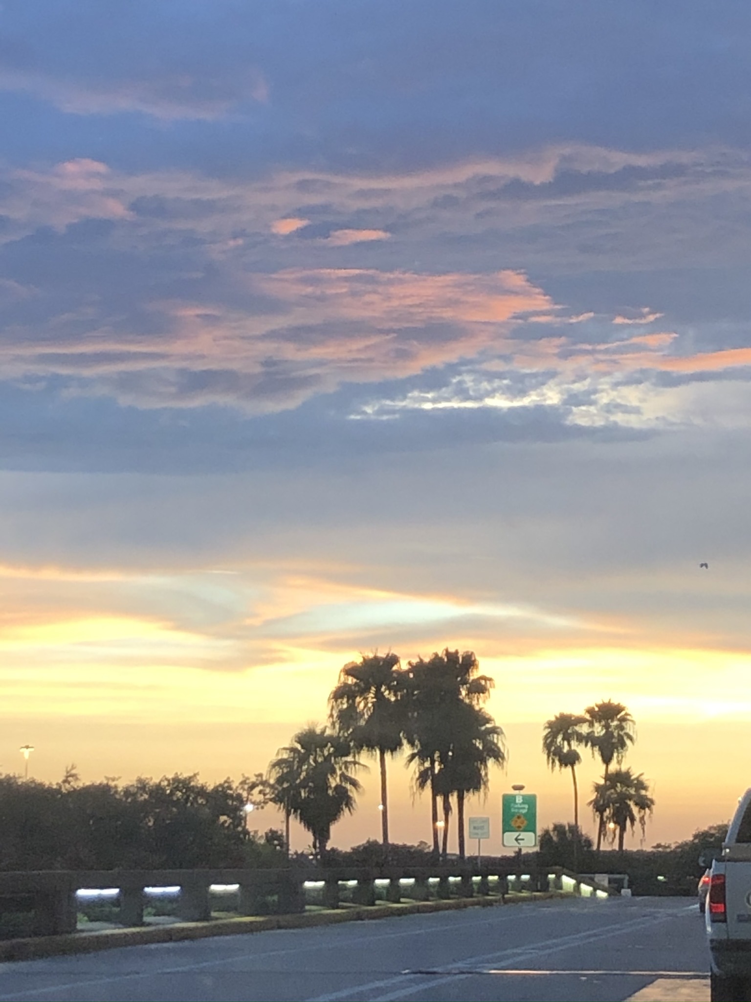 Yung sav OnlyFans header