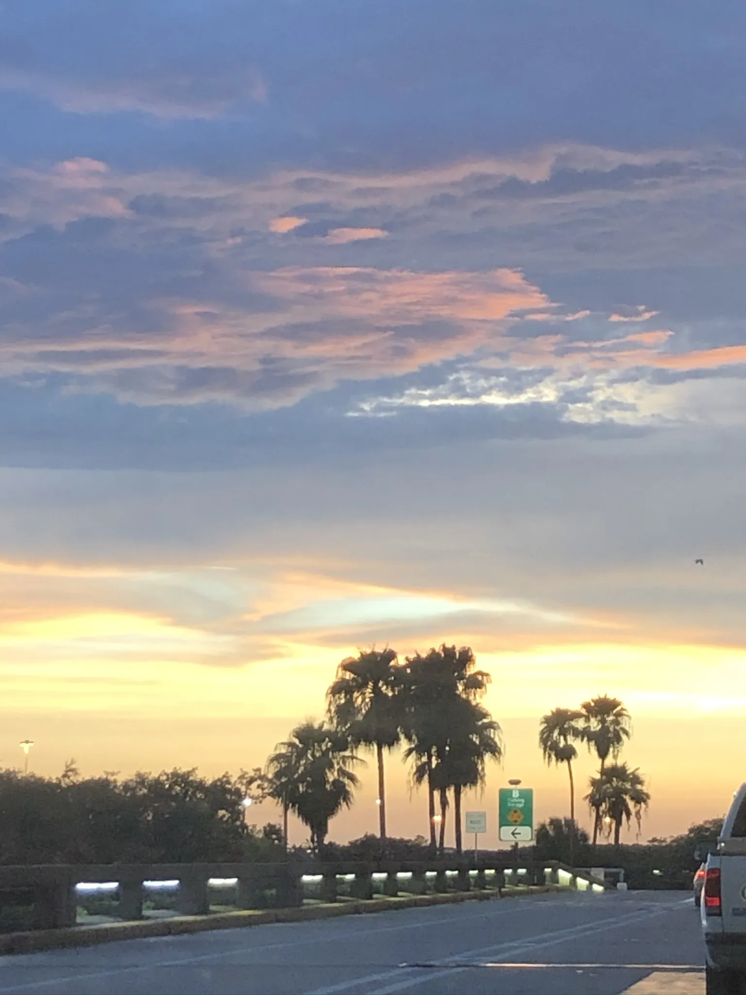 Yung sav OnlyFans header