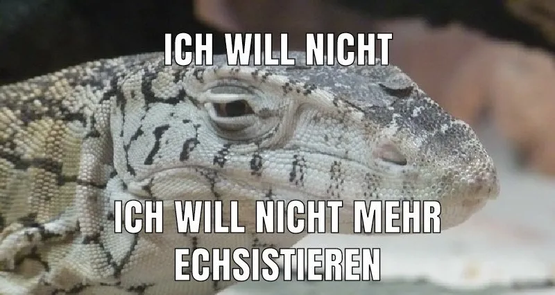 yvngxd OnlyFans header