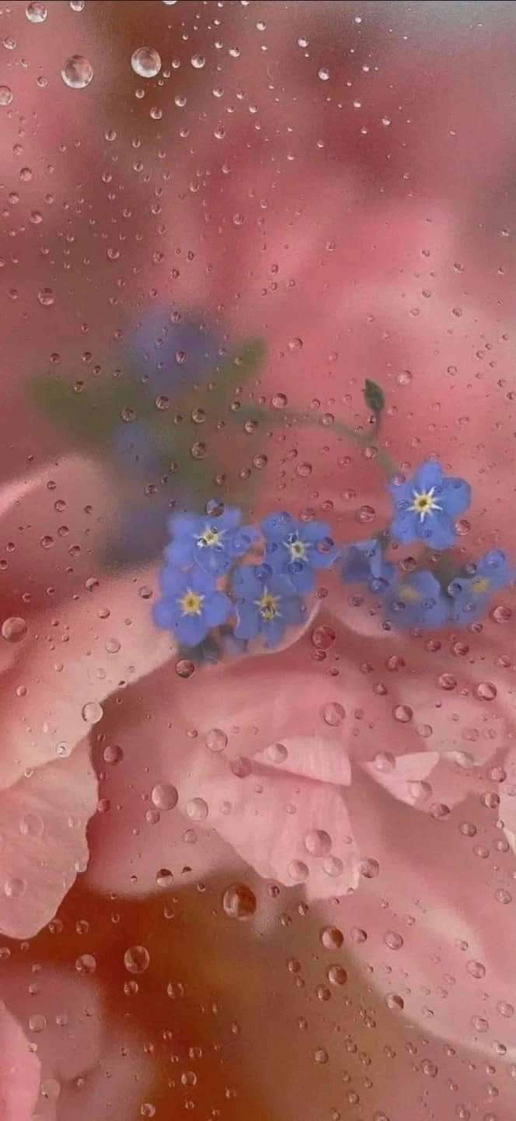 Yuno OnlyFans header