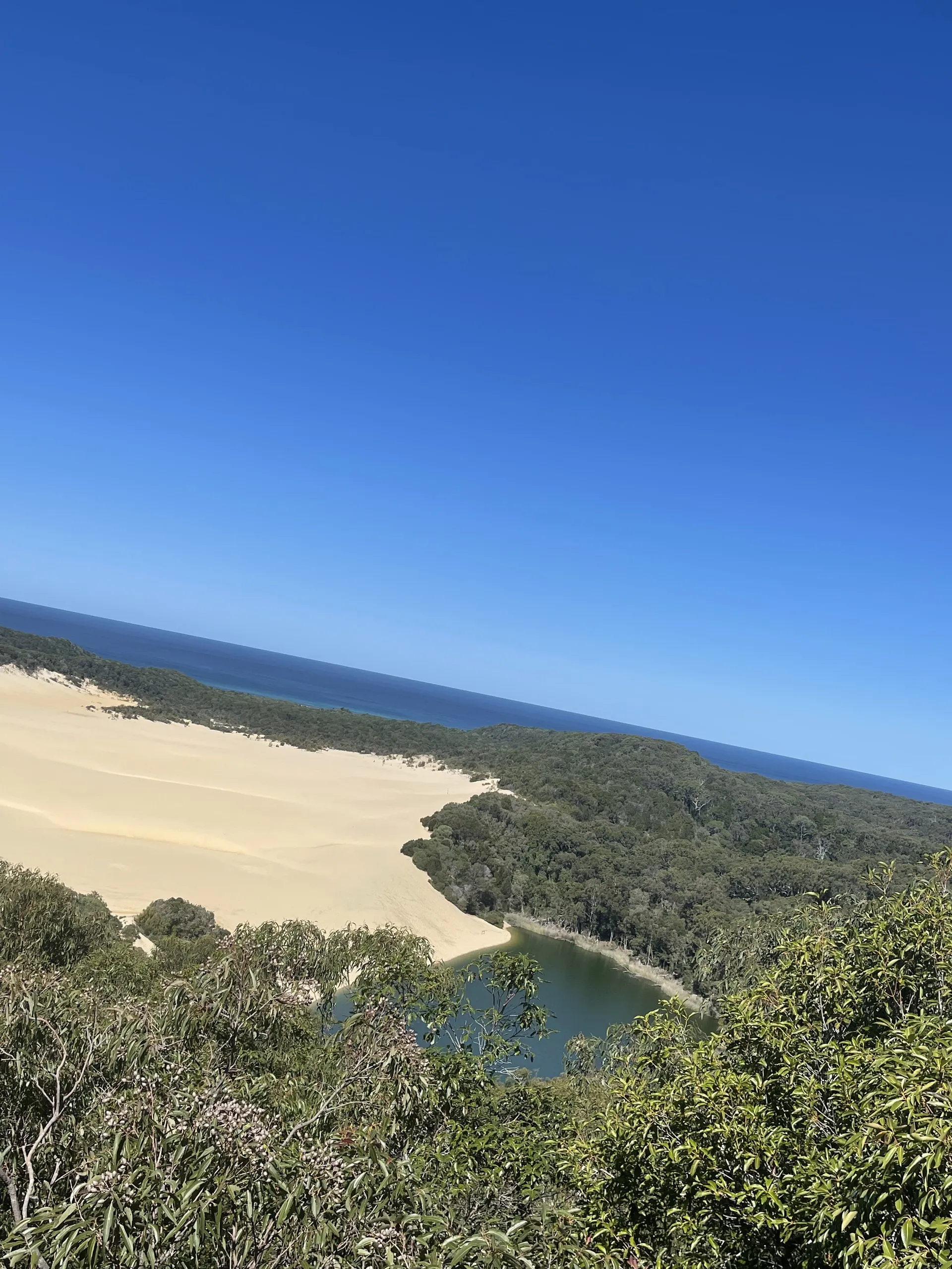 YupimonOnlyfans OnlyFans header