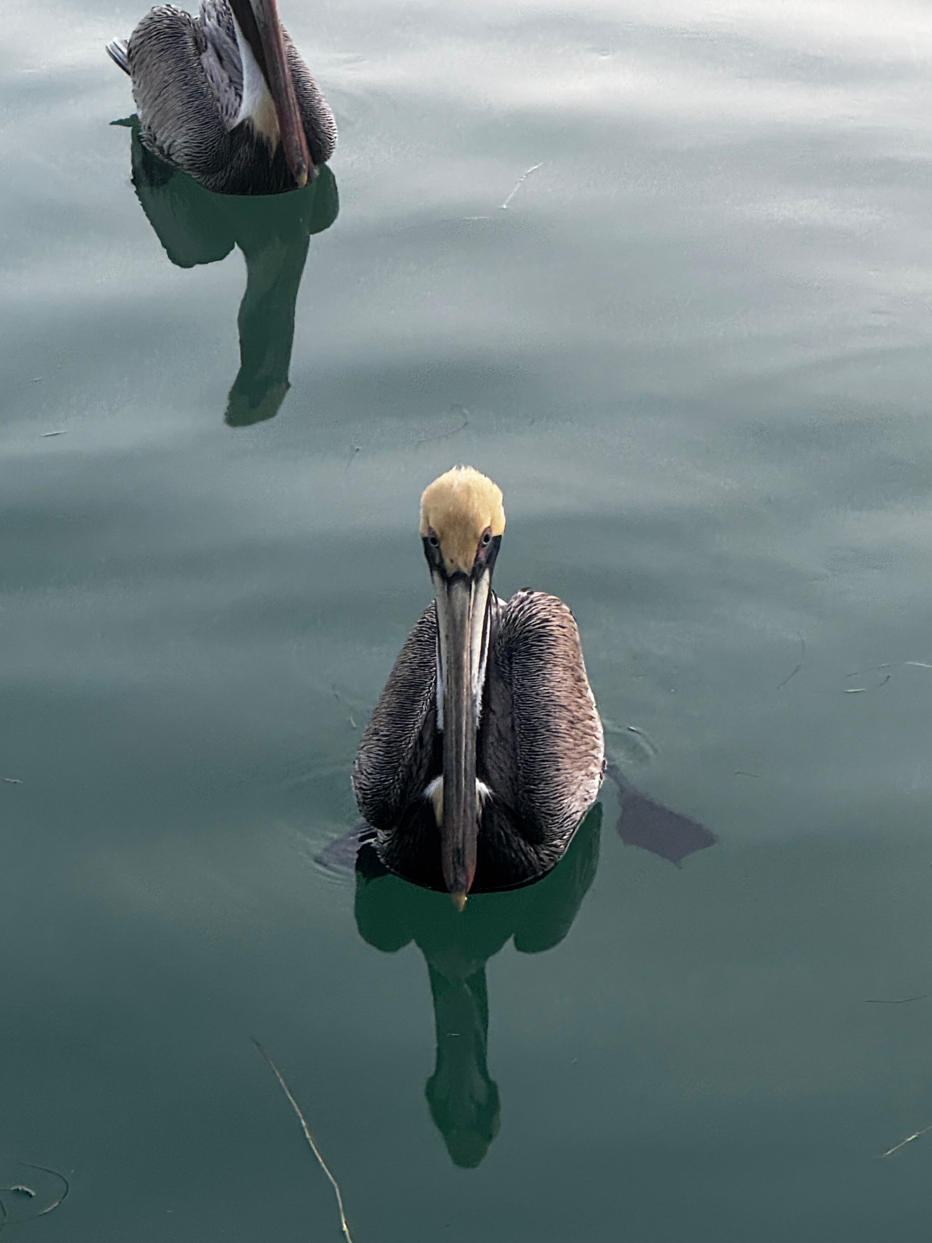 Yuppers1234 OnlyFans header