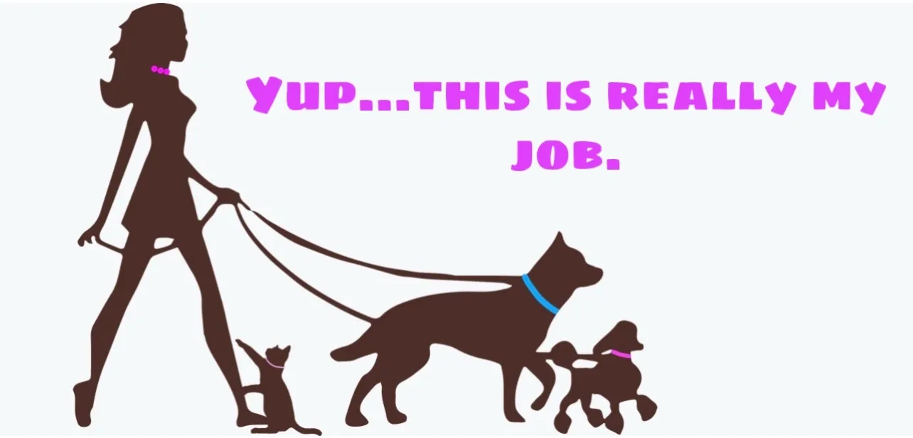 Christy the dog walker OnlyFans header