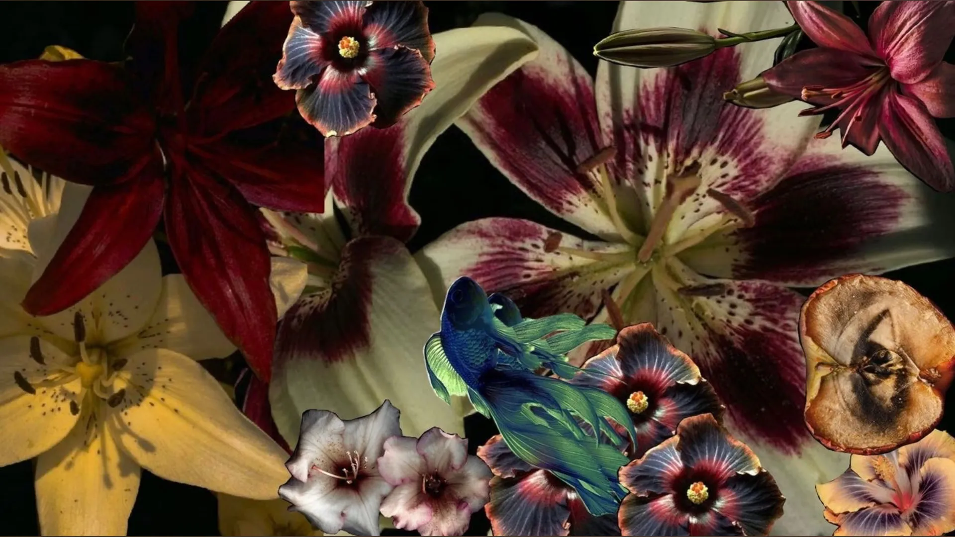 Yurfavdailydose OnlyFans header