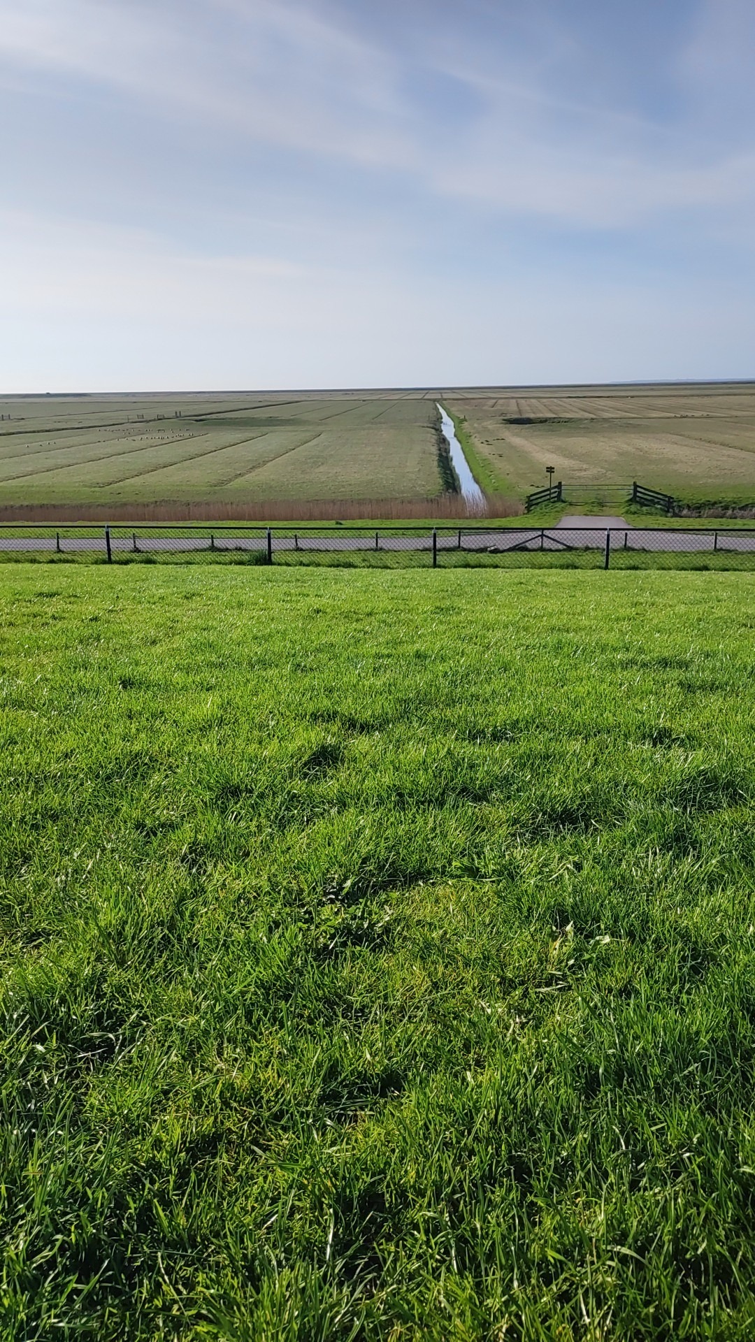 yuri OnlyFans header