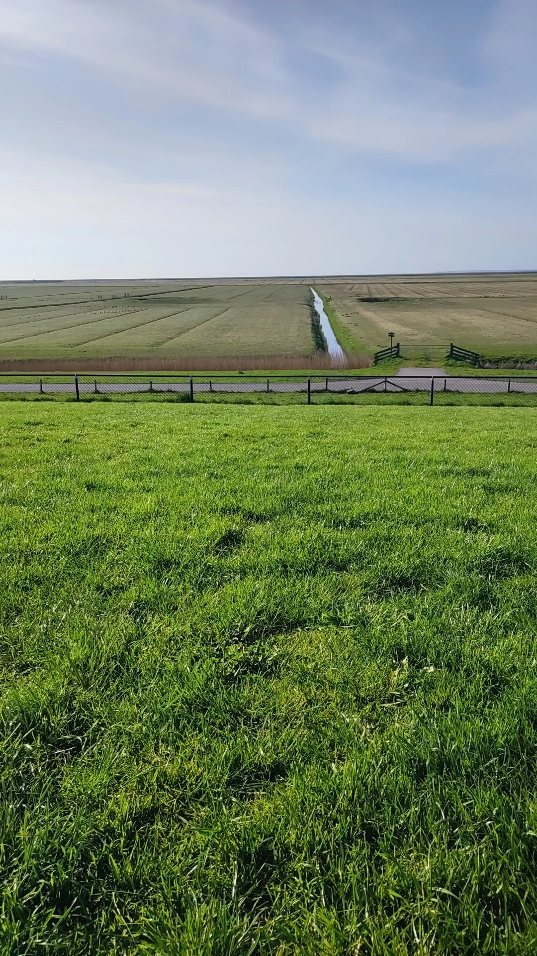 yuri OnlyFans header