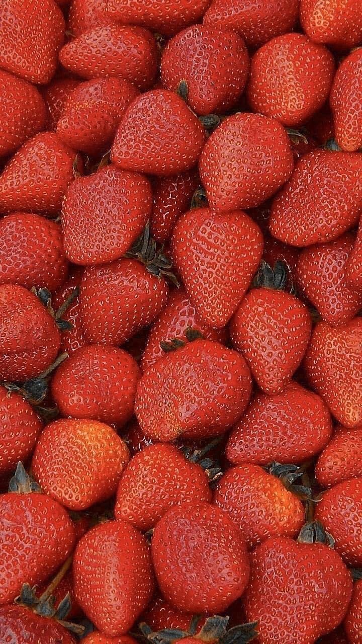 Yurixxx OnlyFans header