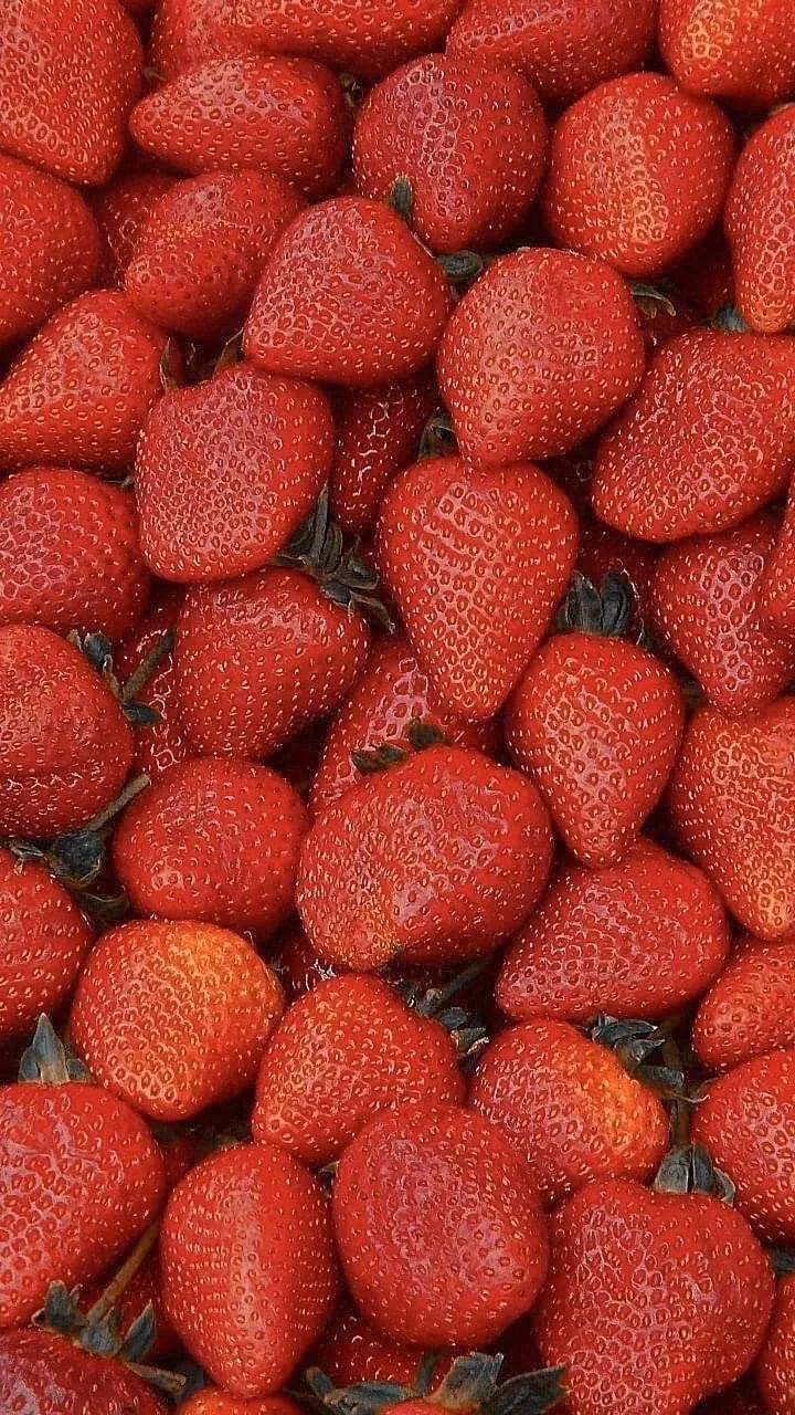 Yurixxx OnlyFans header